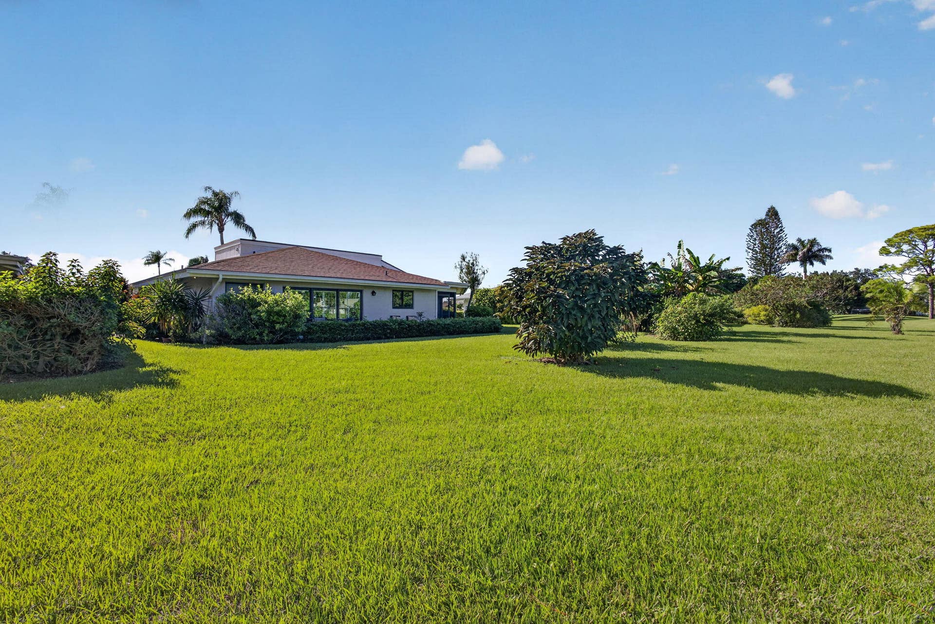 61-web-or-mls-5D1A1745