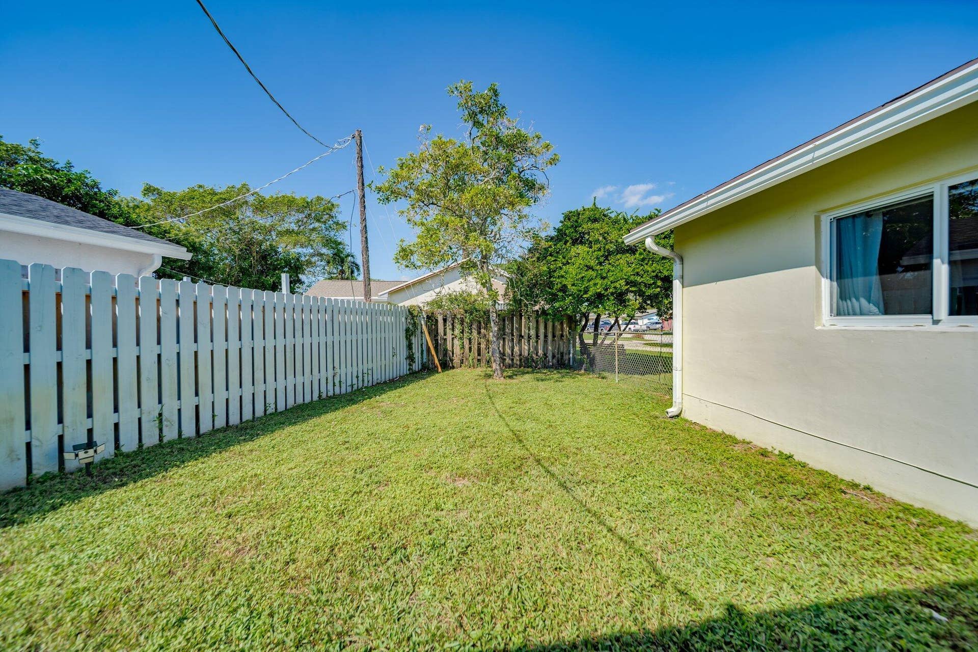 Backyard 3
