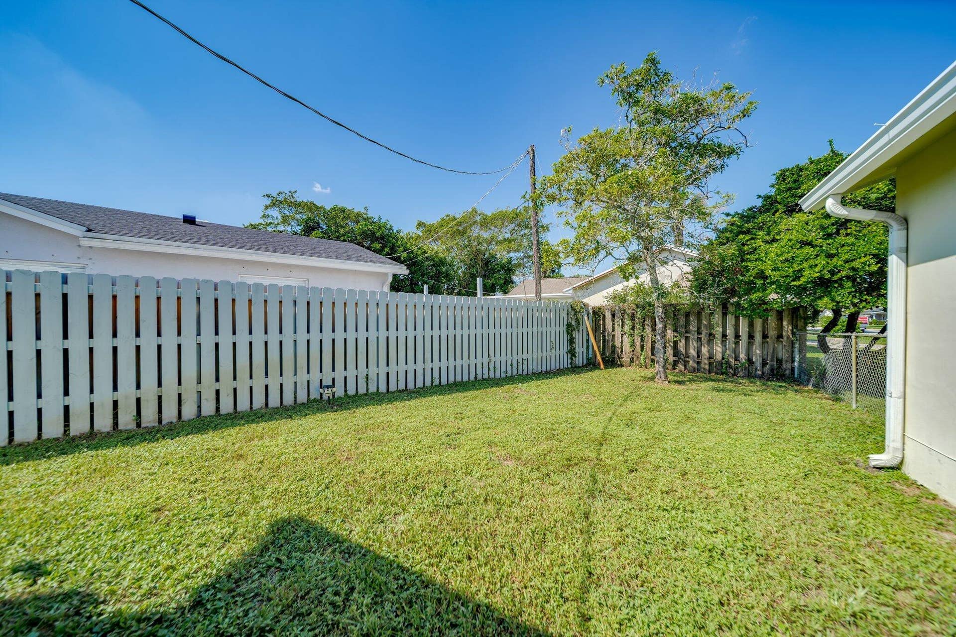 Backyard 2