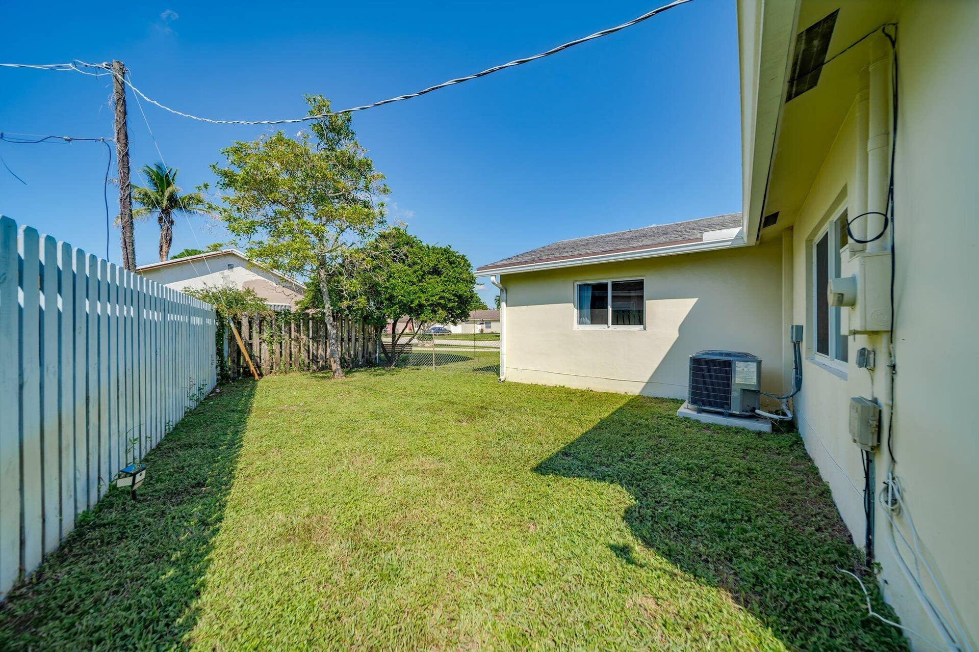 Backyard 1