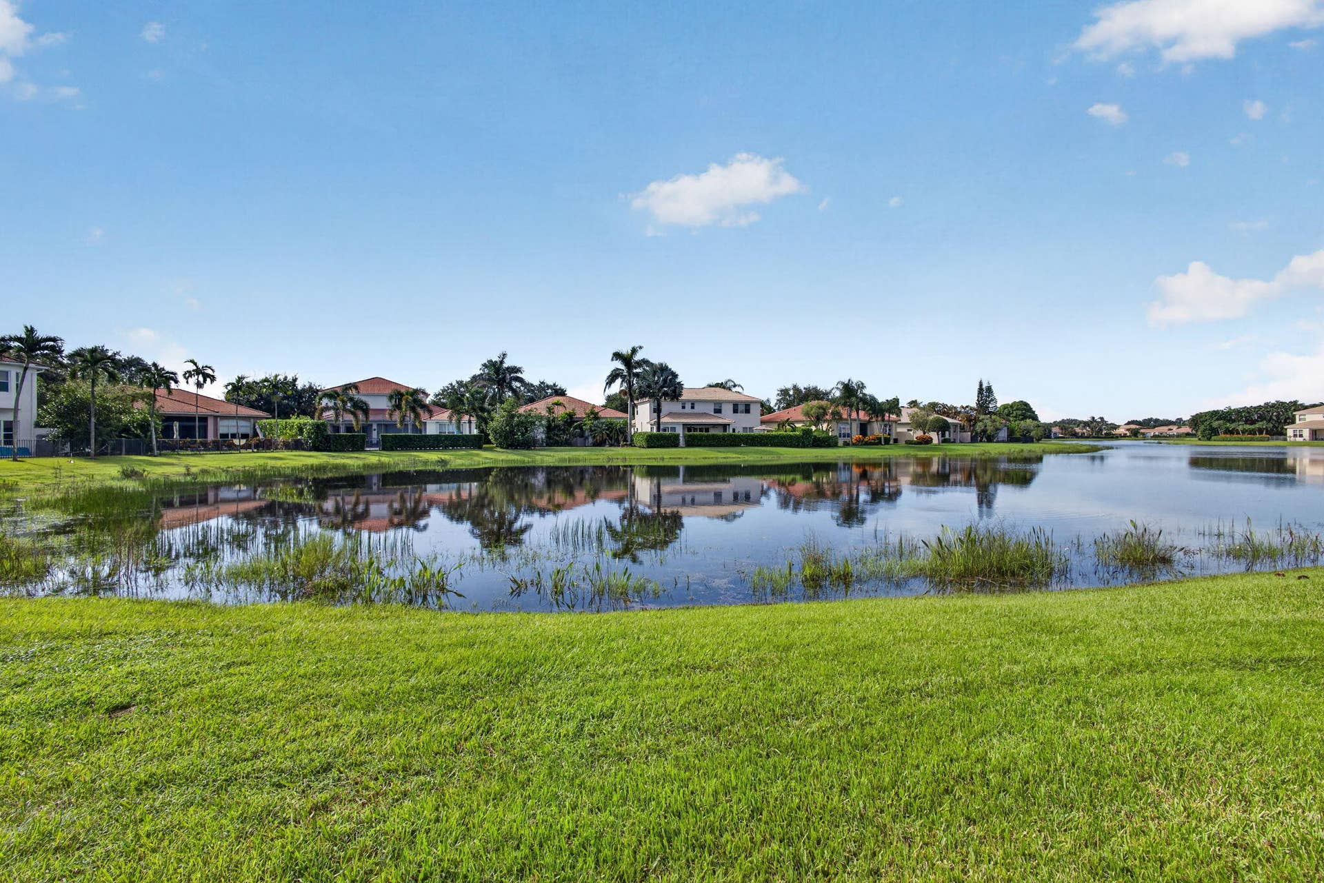 71-web-or-mls-5D1A9524