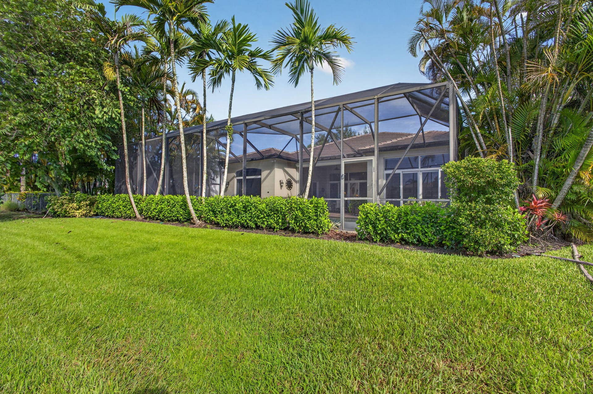 75-web-or-mls-5D1A9544