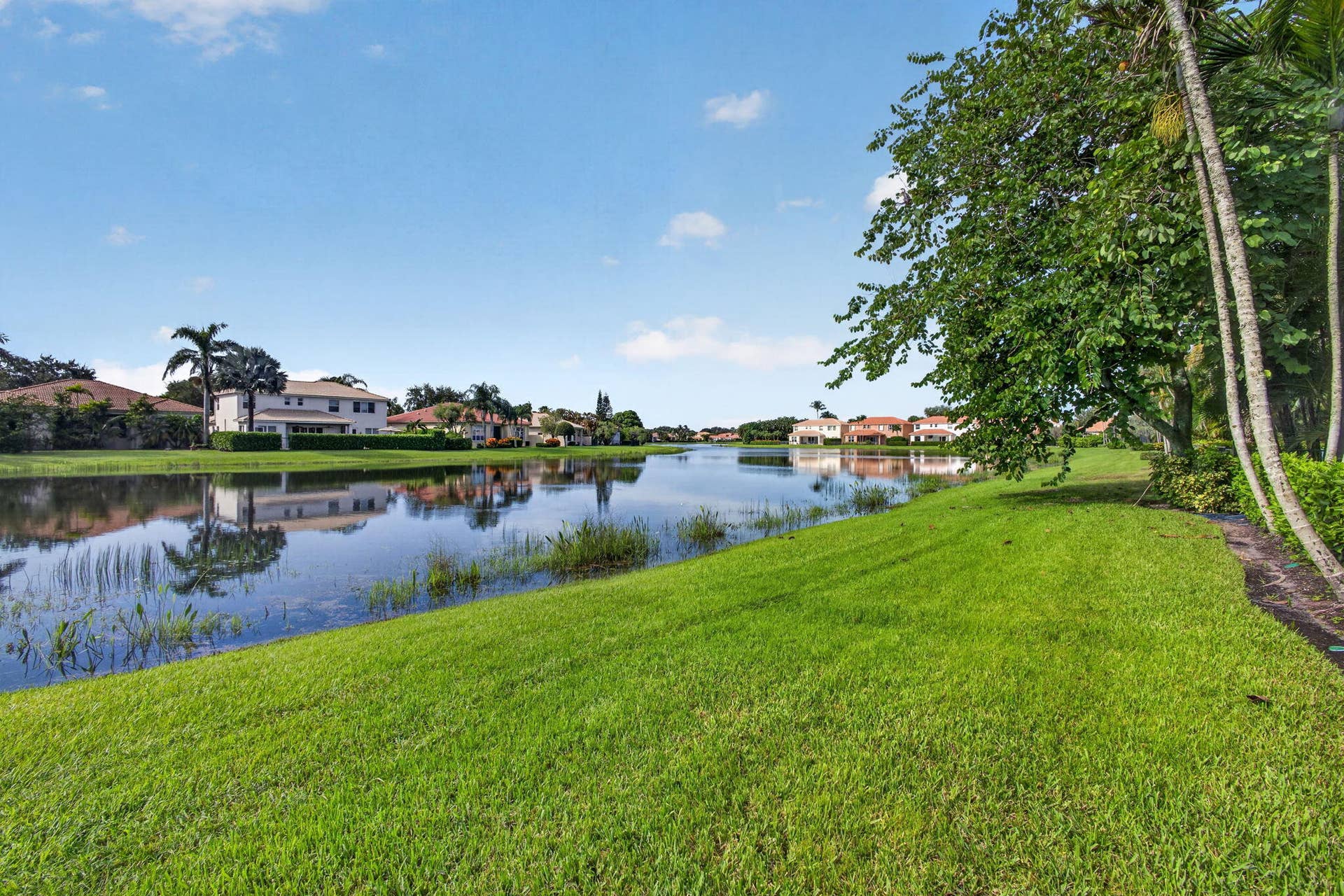 72-web-or-mls-5D1A9529