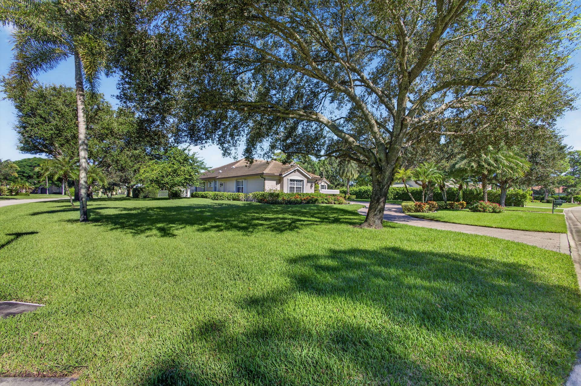 10-web-or-mls-5D1A2190