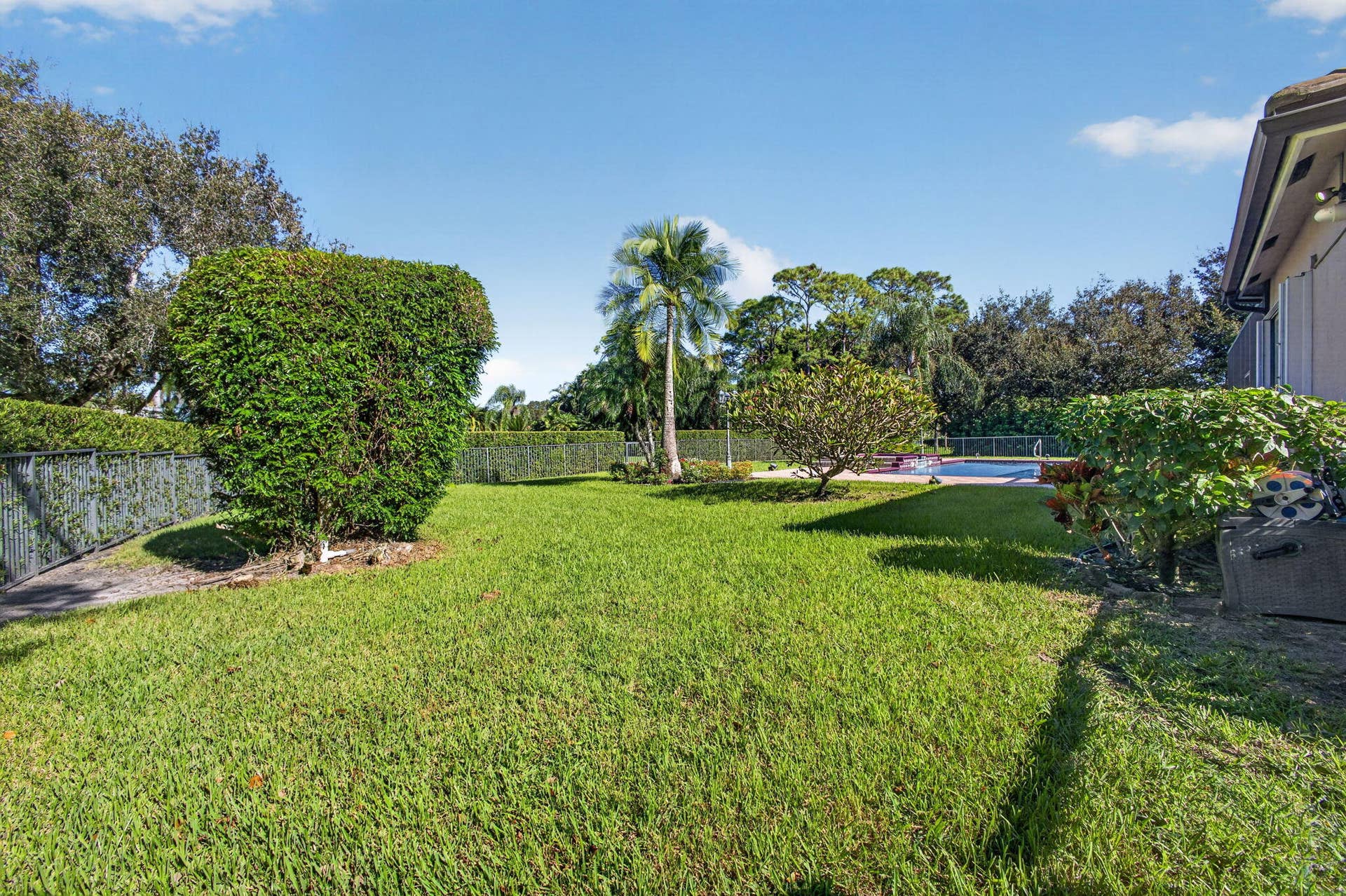 85-web-or-mls-5D1A2115