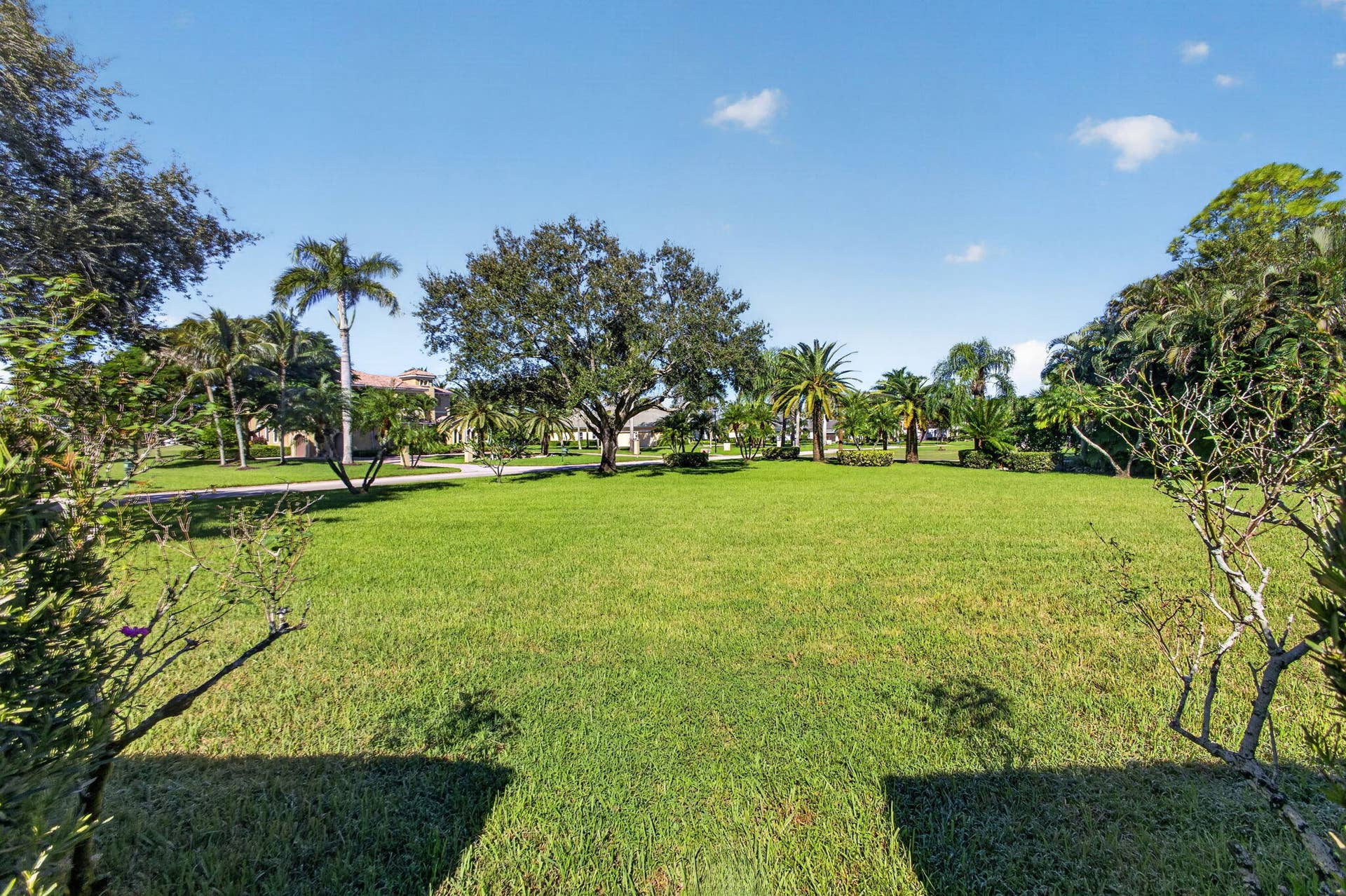83-web-or-mls-5D1A2105