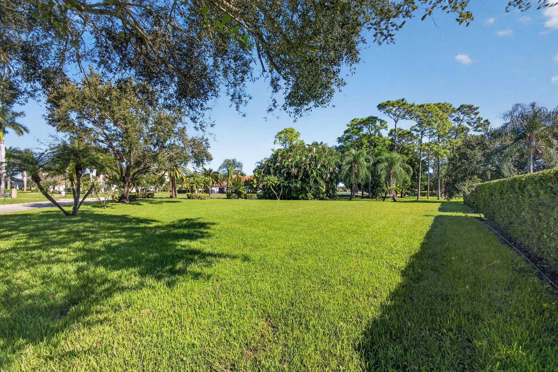 86-web-or-mls-5D1A2120
