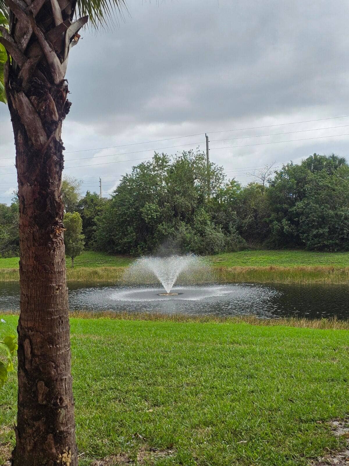 1063 GOLDEN LAKES Boulevard, #311, West Palm Beach, FL 33411 20260319_145702_copy_1200x1600