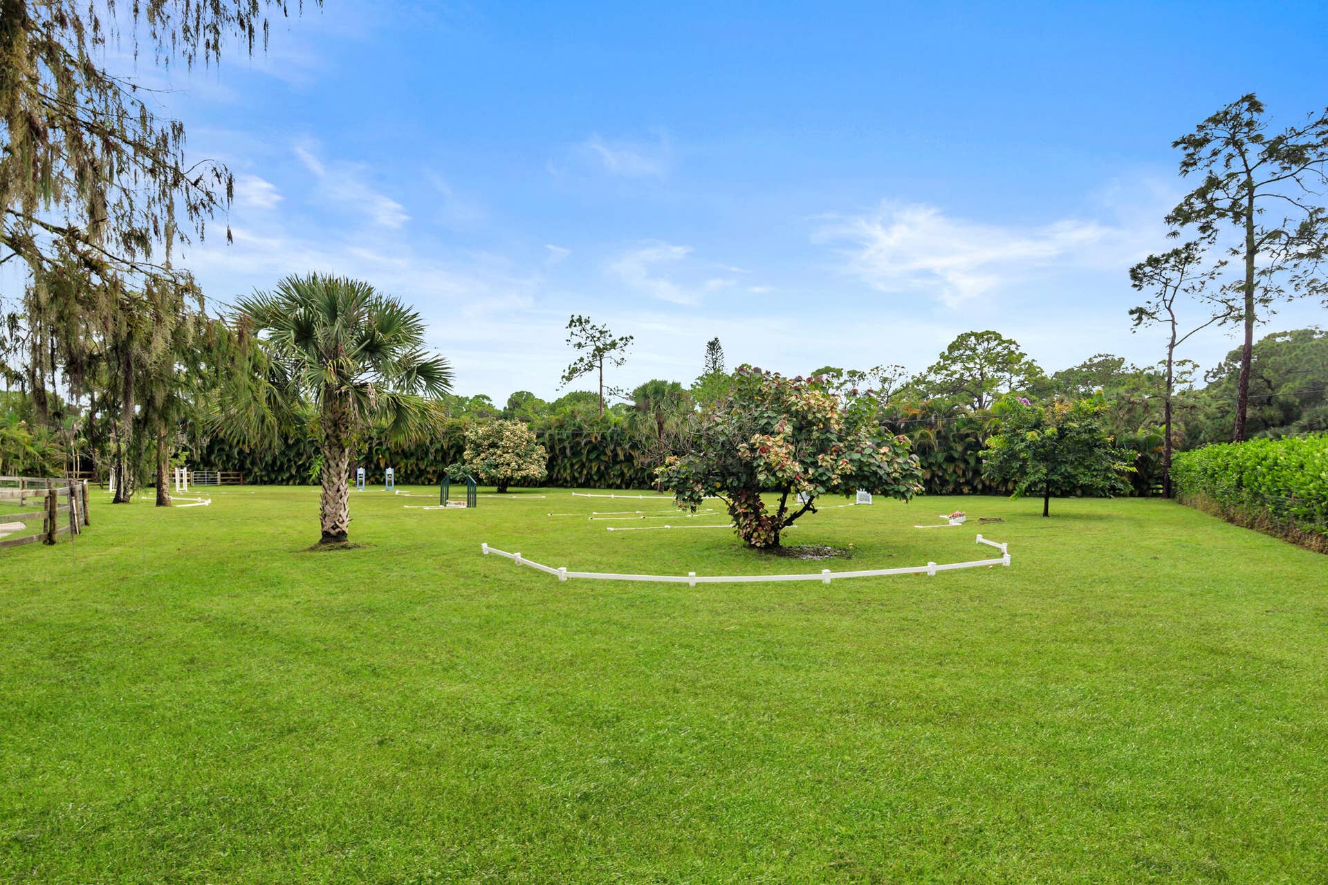 Ring Area