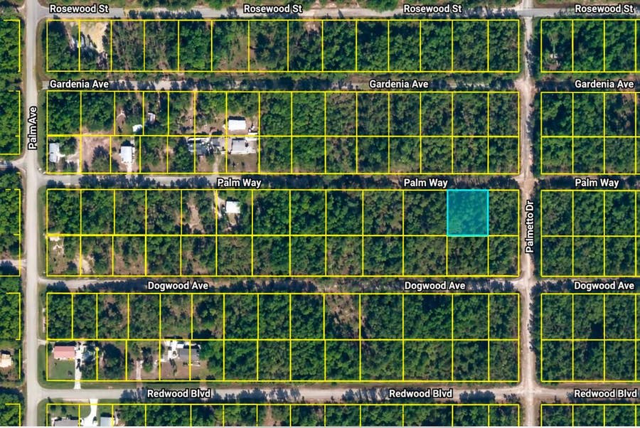 Property photo for 337 PALM Way, Georgetown, FL