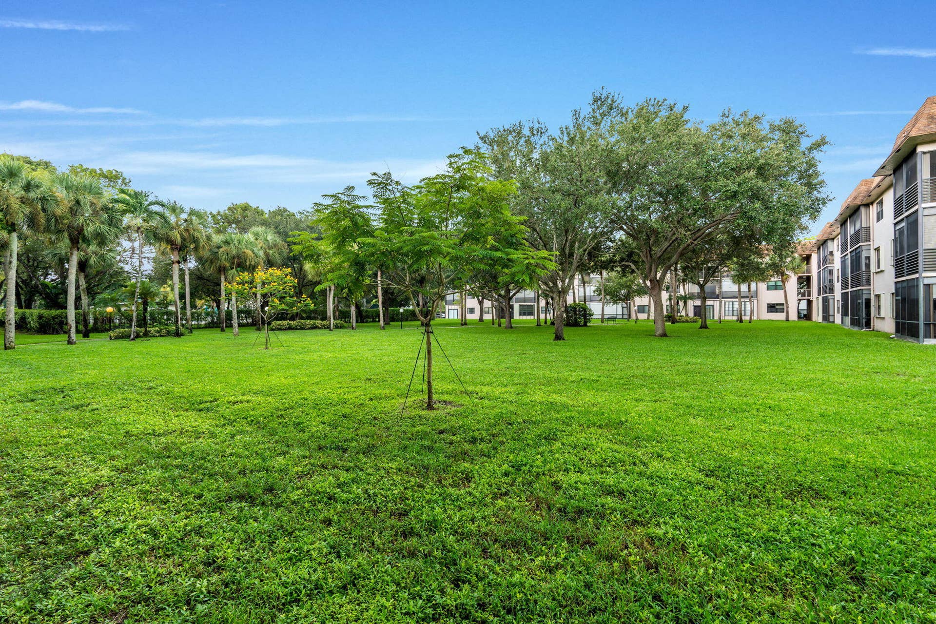 32-web-or-mls-A7408663