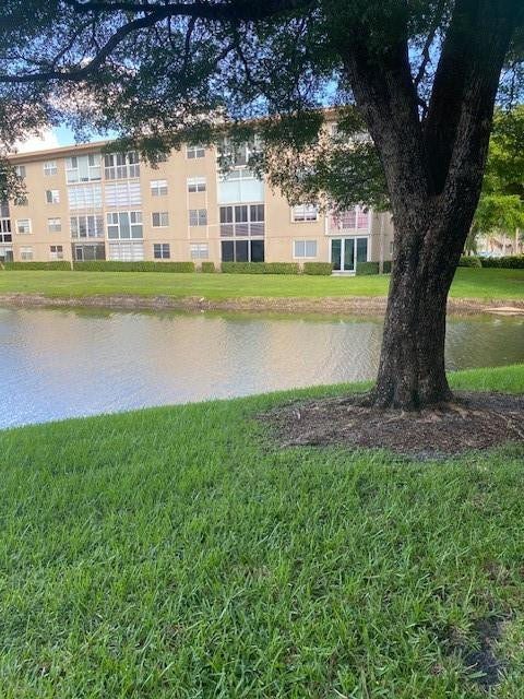 view from patio