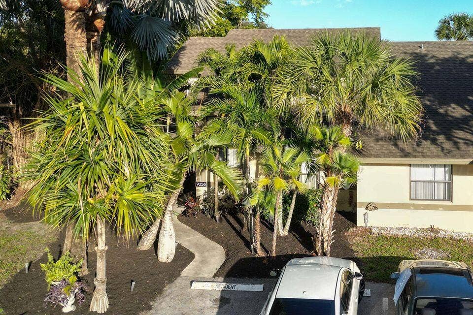 Exterior faade featuring shingle-style roofing, light-toned stucco siding, and a concrete walkway bordered by mature palm trees and dark mulch landscaping