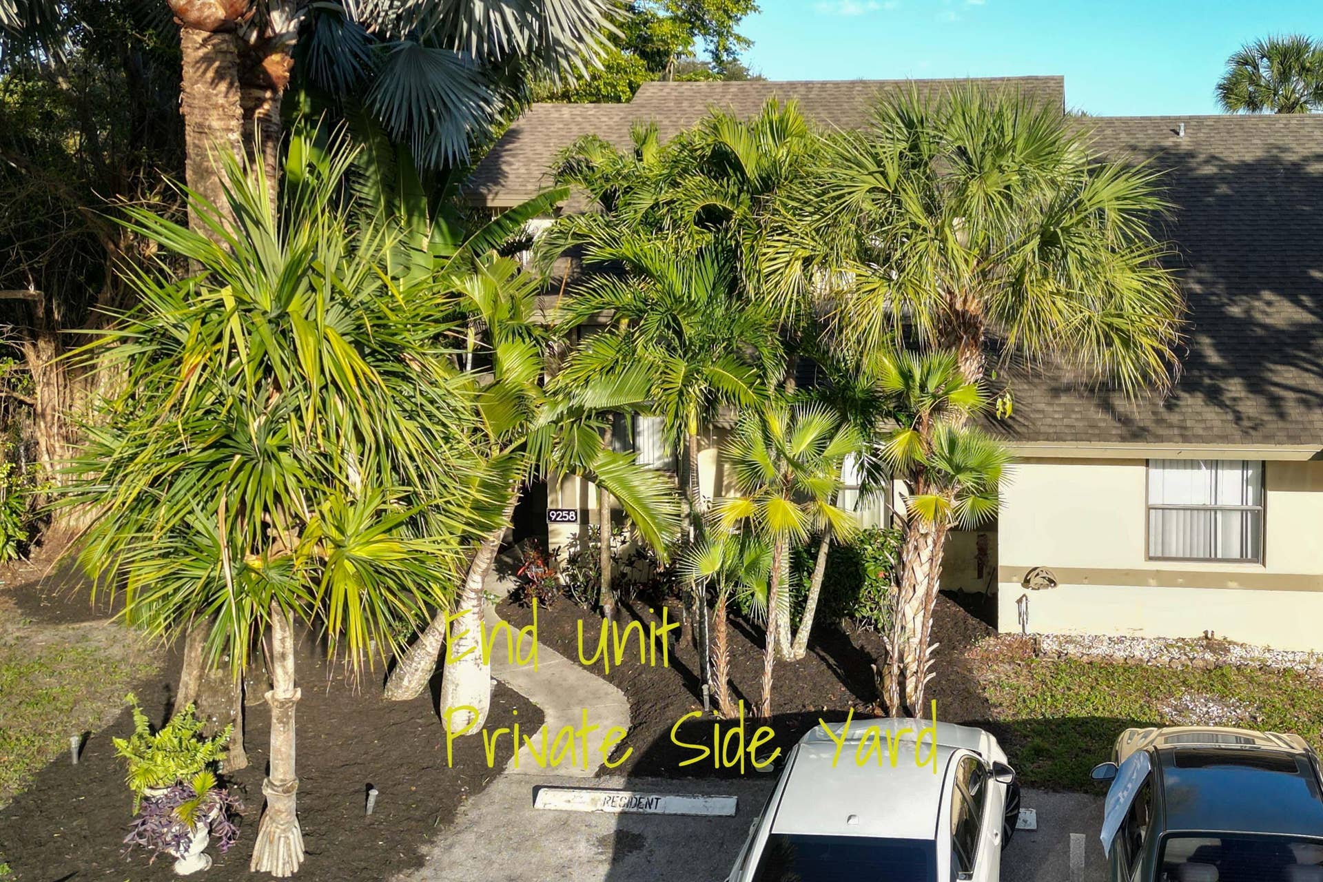 Exterior elevation featuring a multi-story end unit with a shingled roof, light-toned siding, and mature palm trees within a mulched landscape