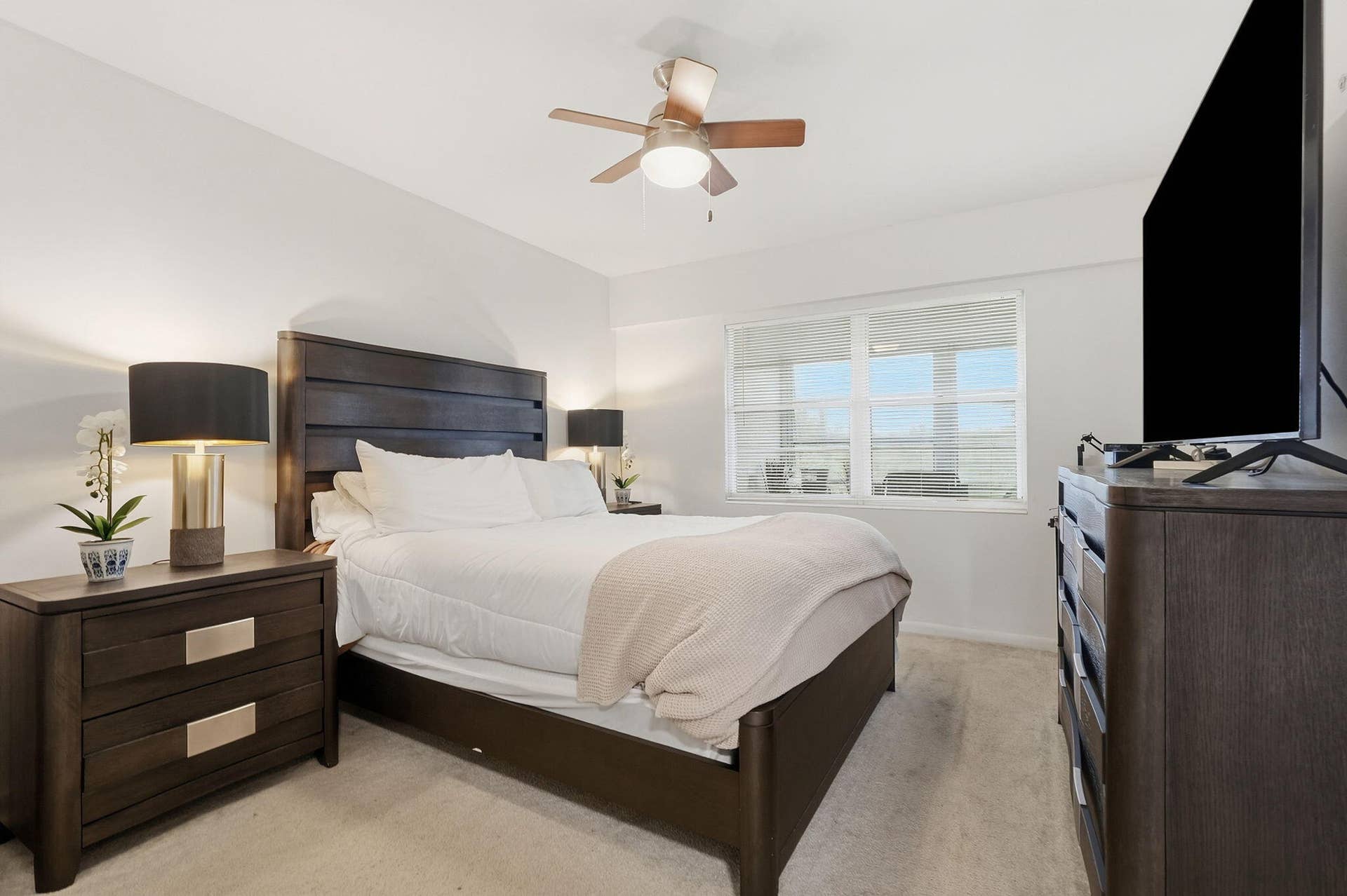 1-web-or-mls-209_Brighton_E_05933