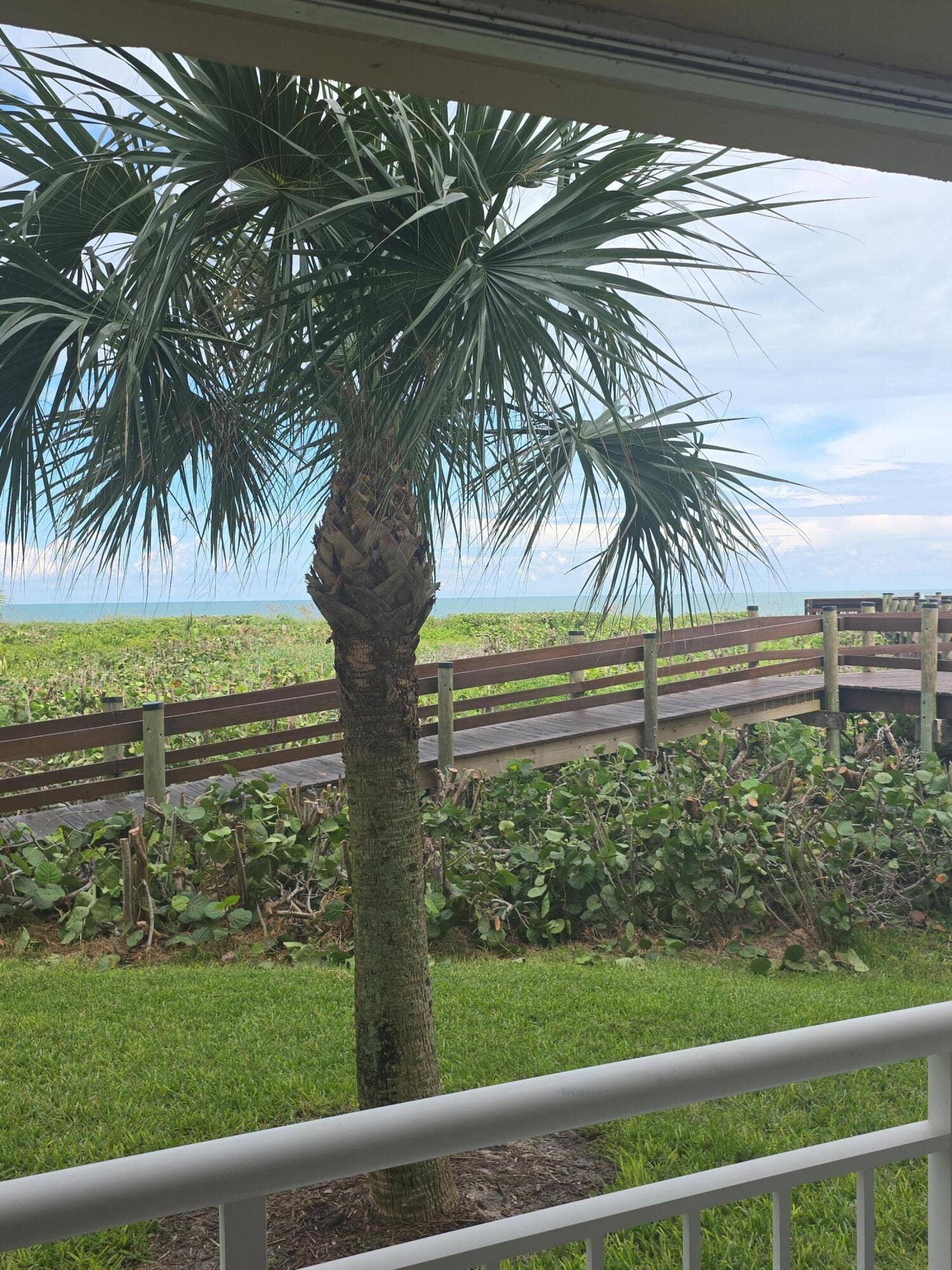 Back patio view