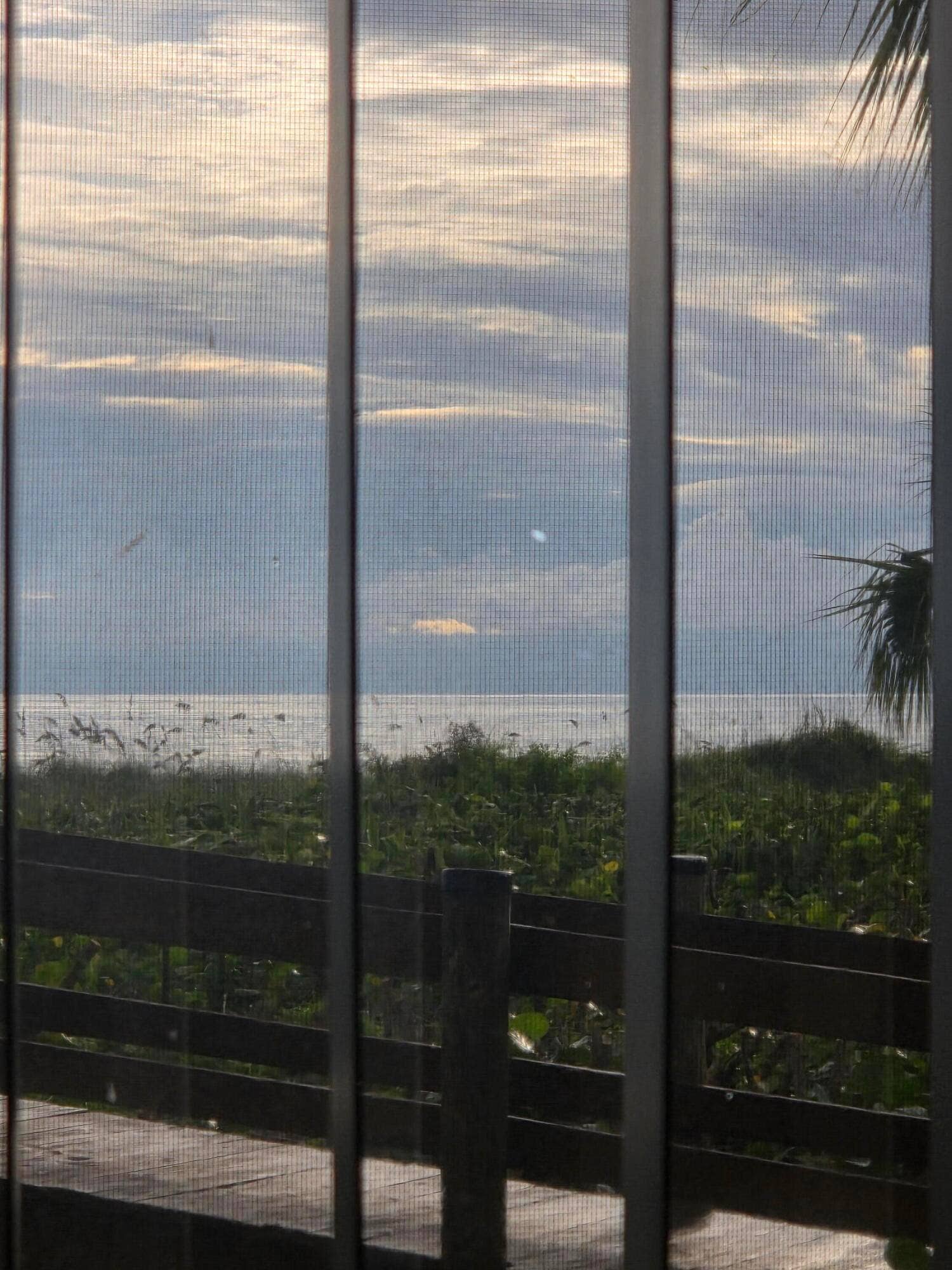 View from unit