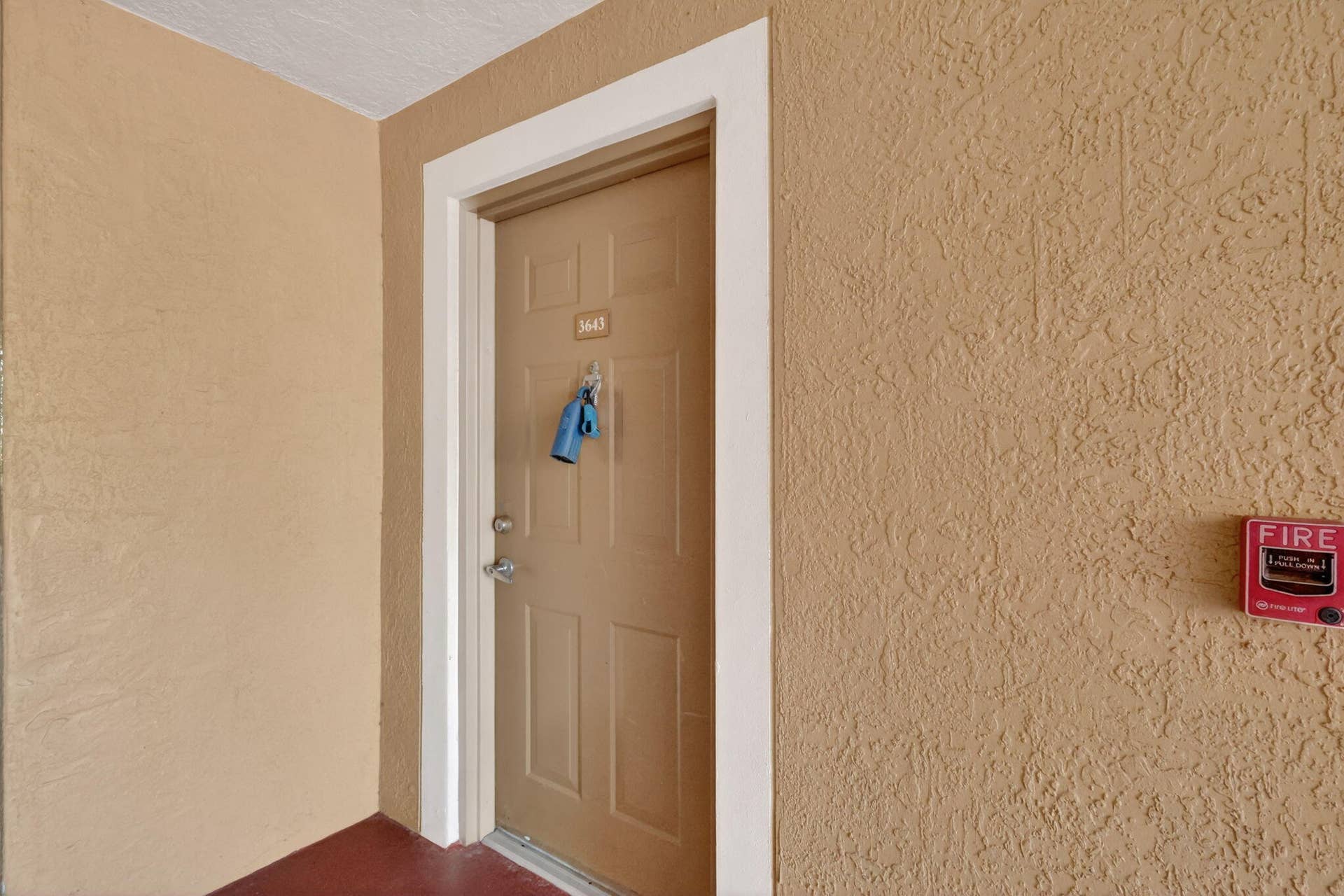 5-web-or-mls-7R7A7690