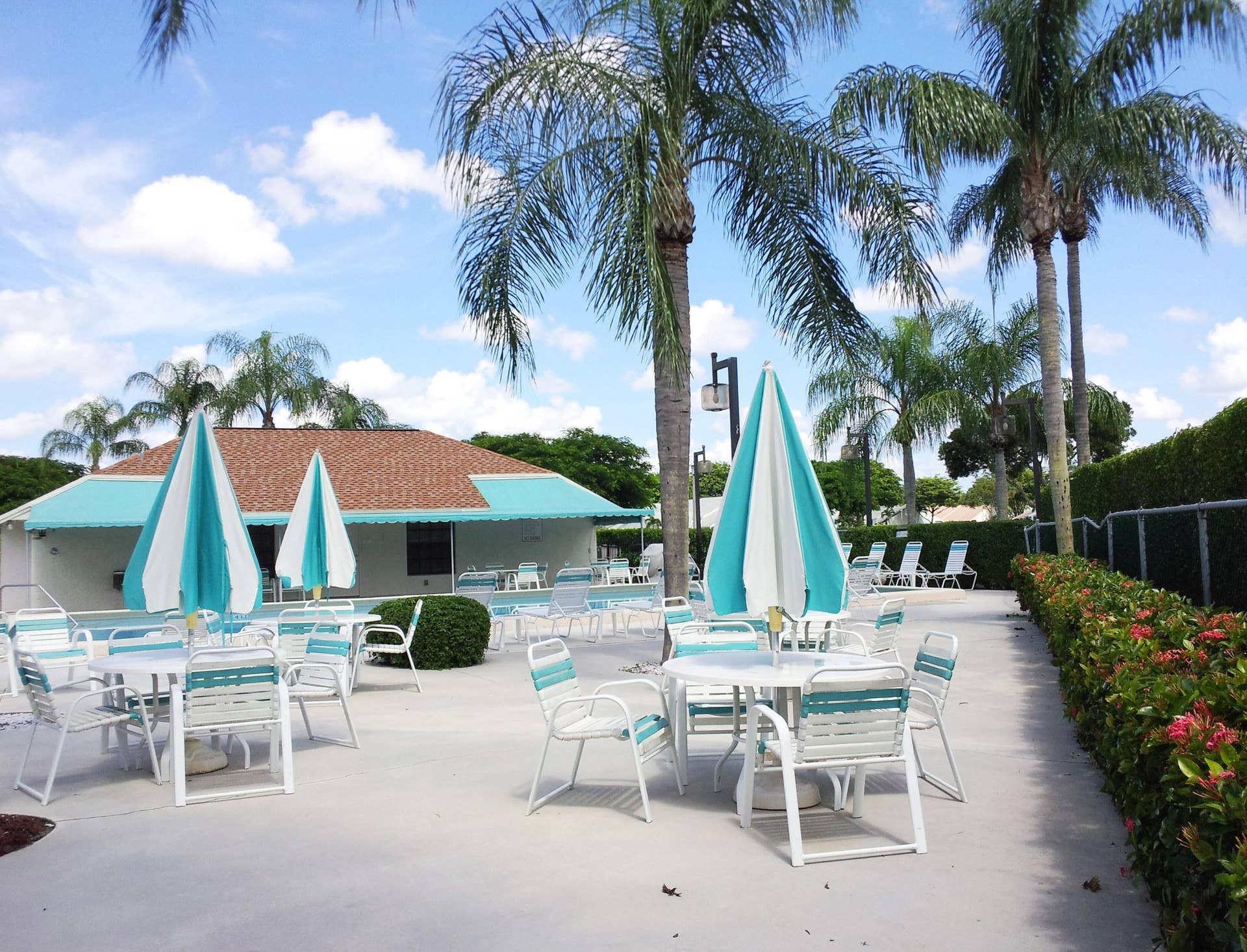 Swimming pool area featuring a concrete deck, manicured hedges, mature palm trees, and an exterior structure with a shingled roof and fabric awnings