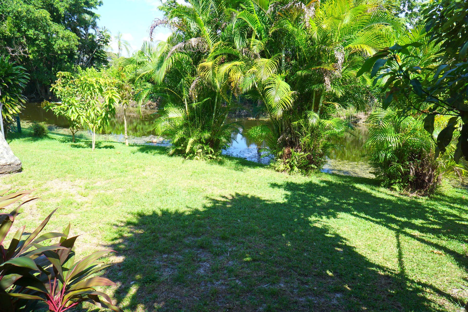 DSC04484