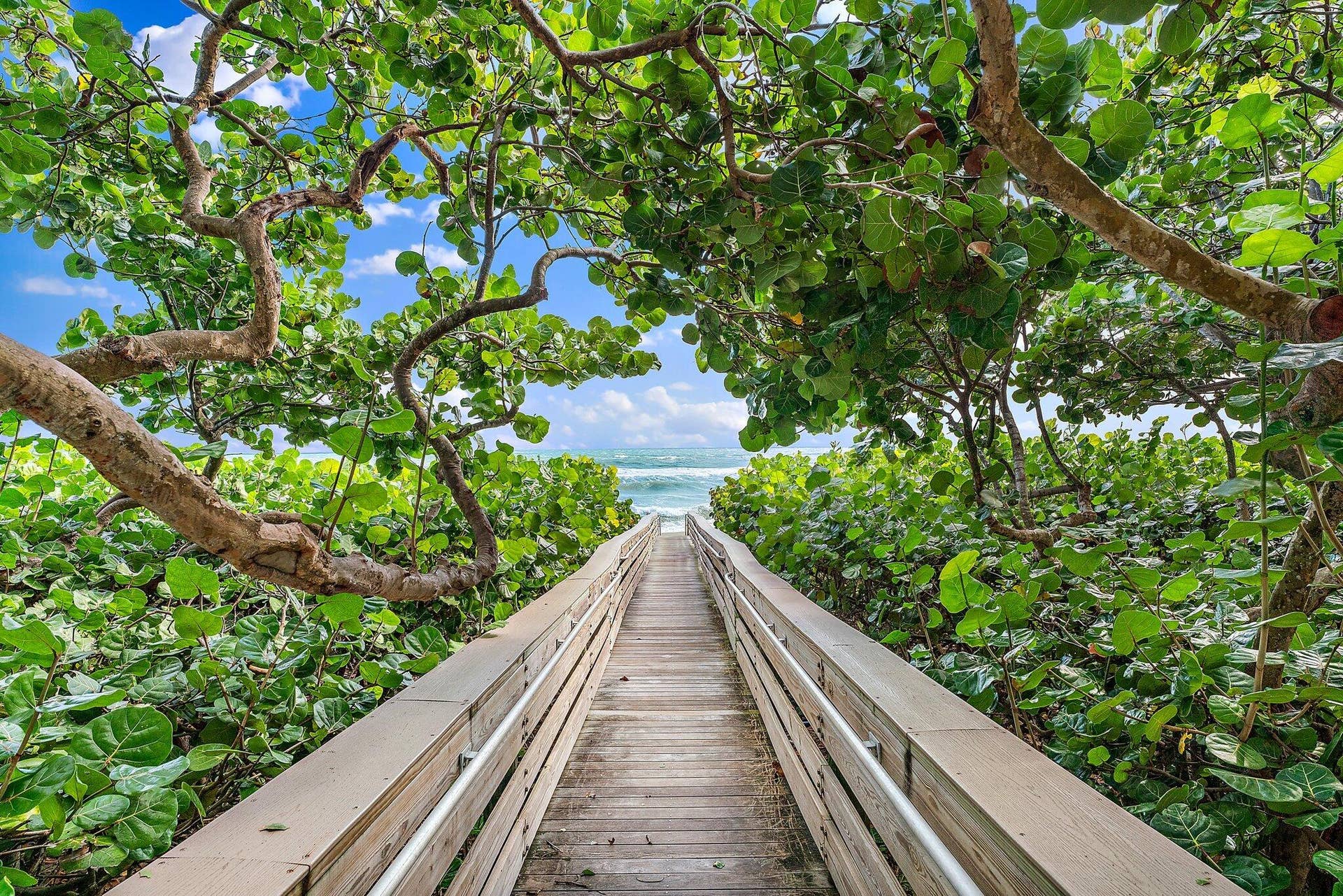 Beach Walkway