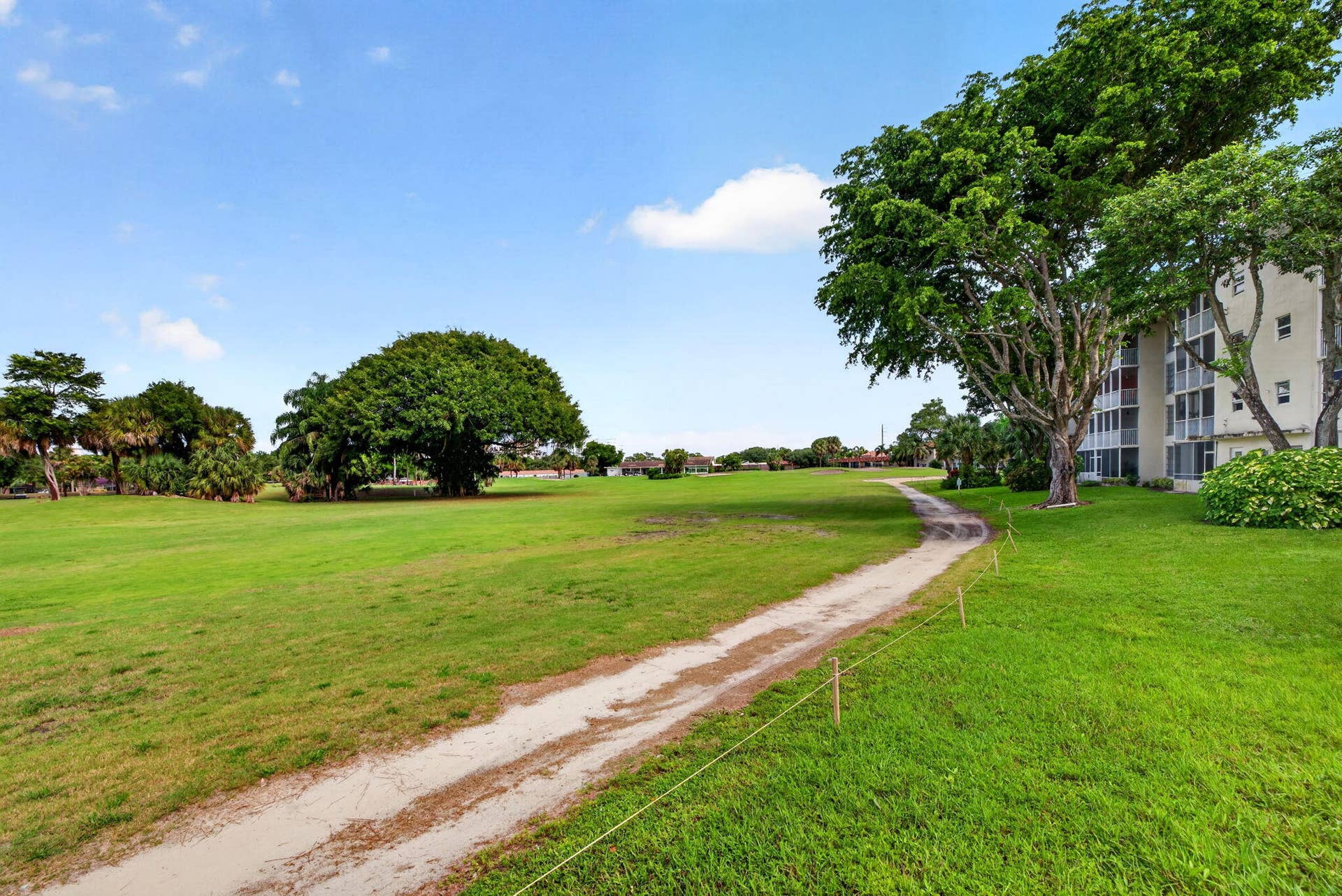 51-web-or-mls-699A3554