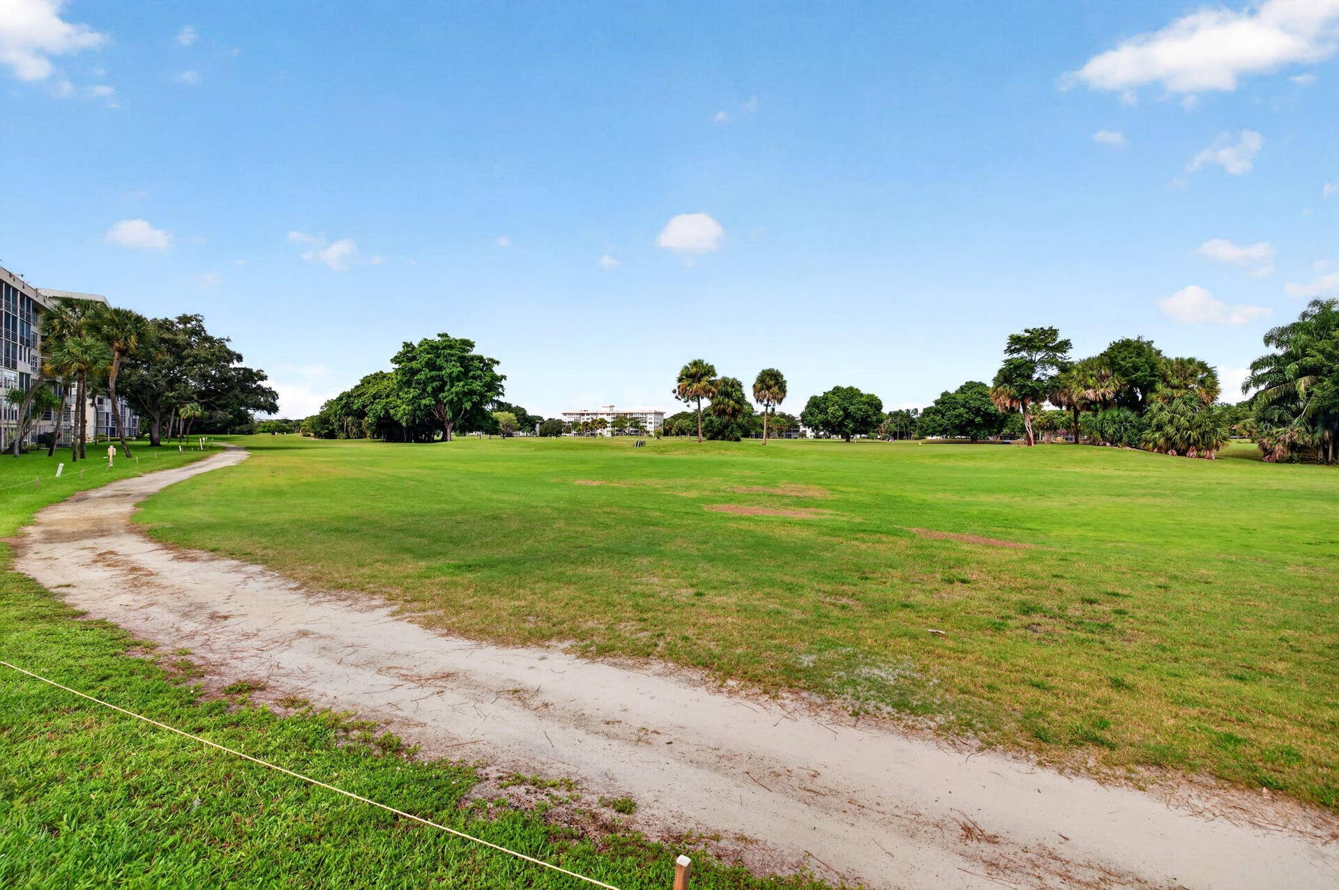 50-web-or-mls-699A3549