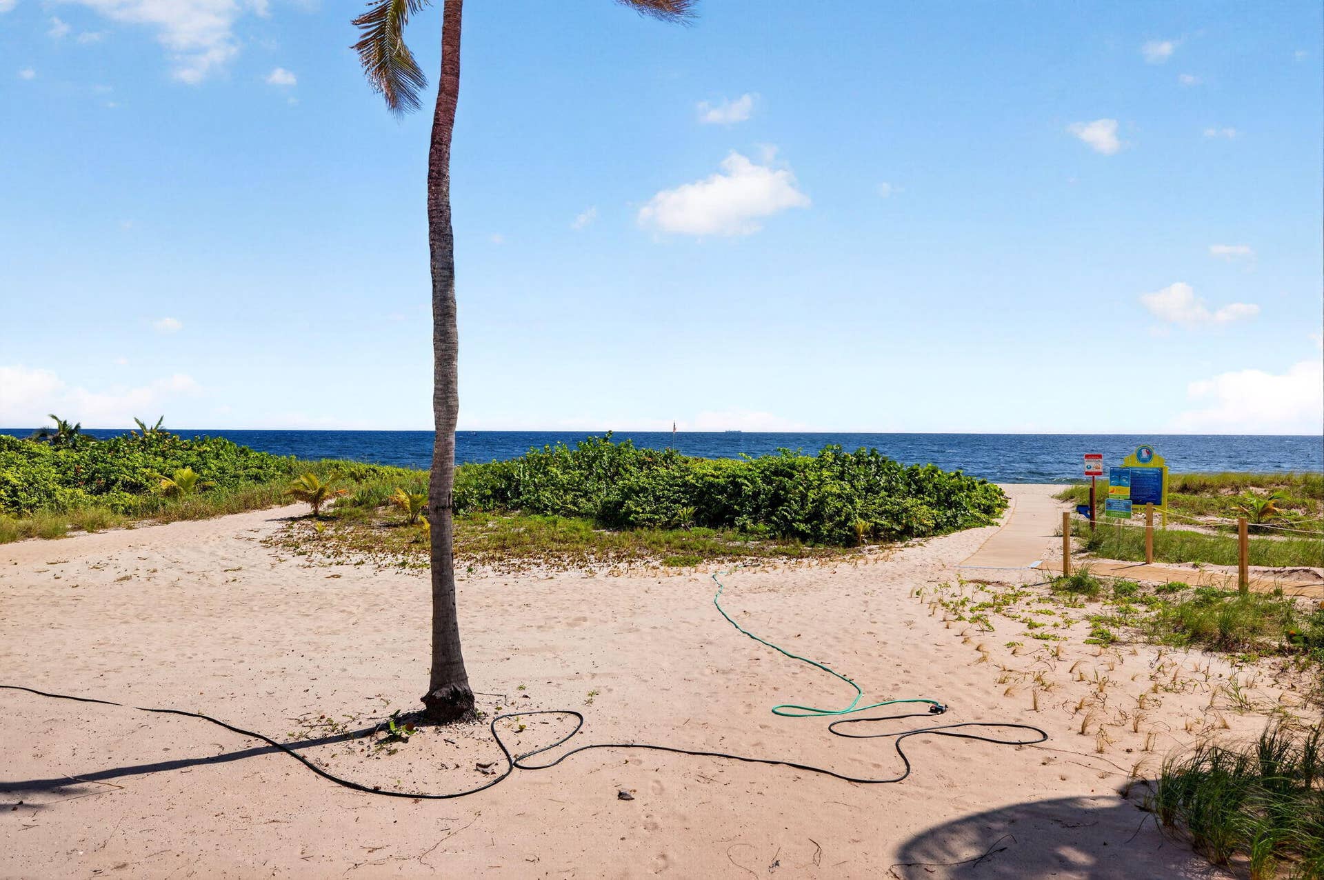 53-web-or-mls-699A3929