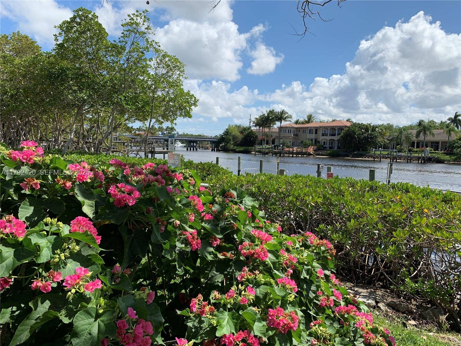 Loxahatchee river view
