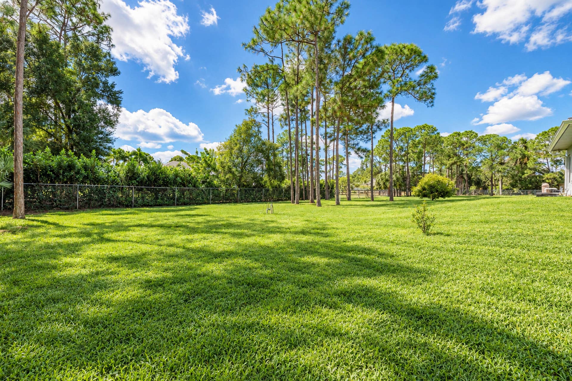 17226 79th Court N, The Acreage, FL 33470 Backyard