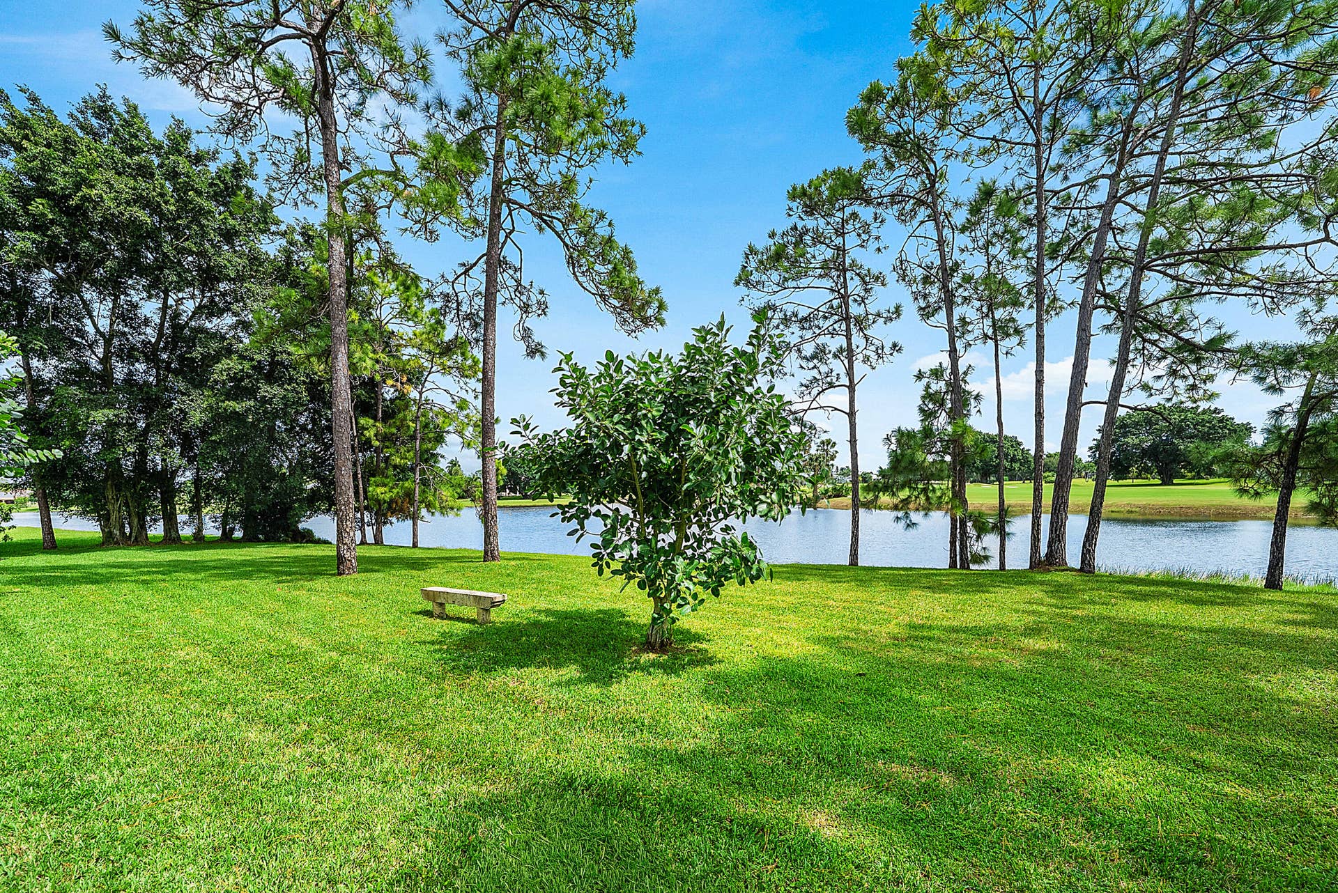 7730 Woodsmuir Drive, West Palm Beach, FL 33412 Over an Acre of Land