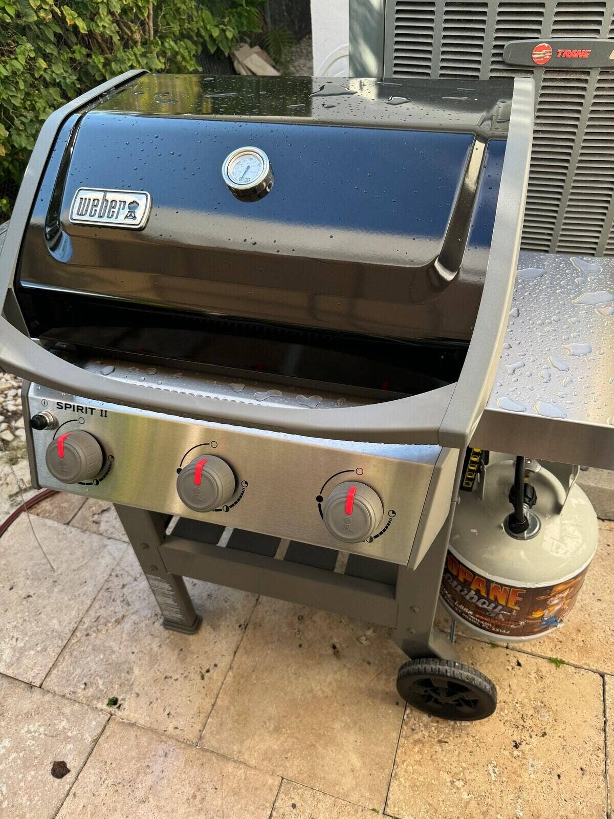 3036 NE 19TH Street, Fort Lauderdale, FL 33305 22