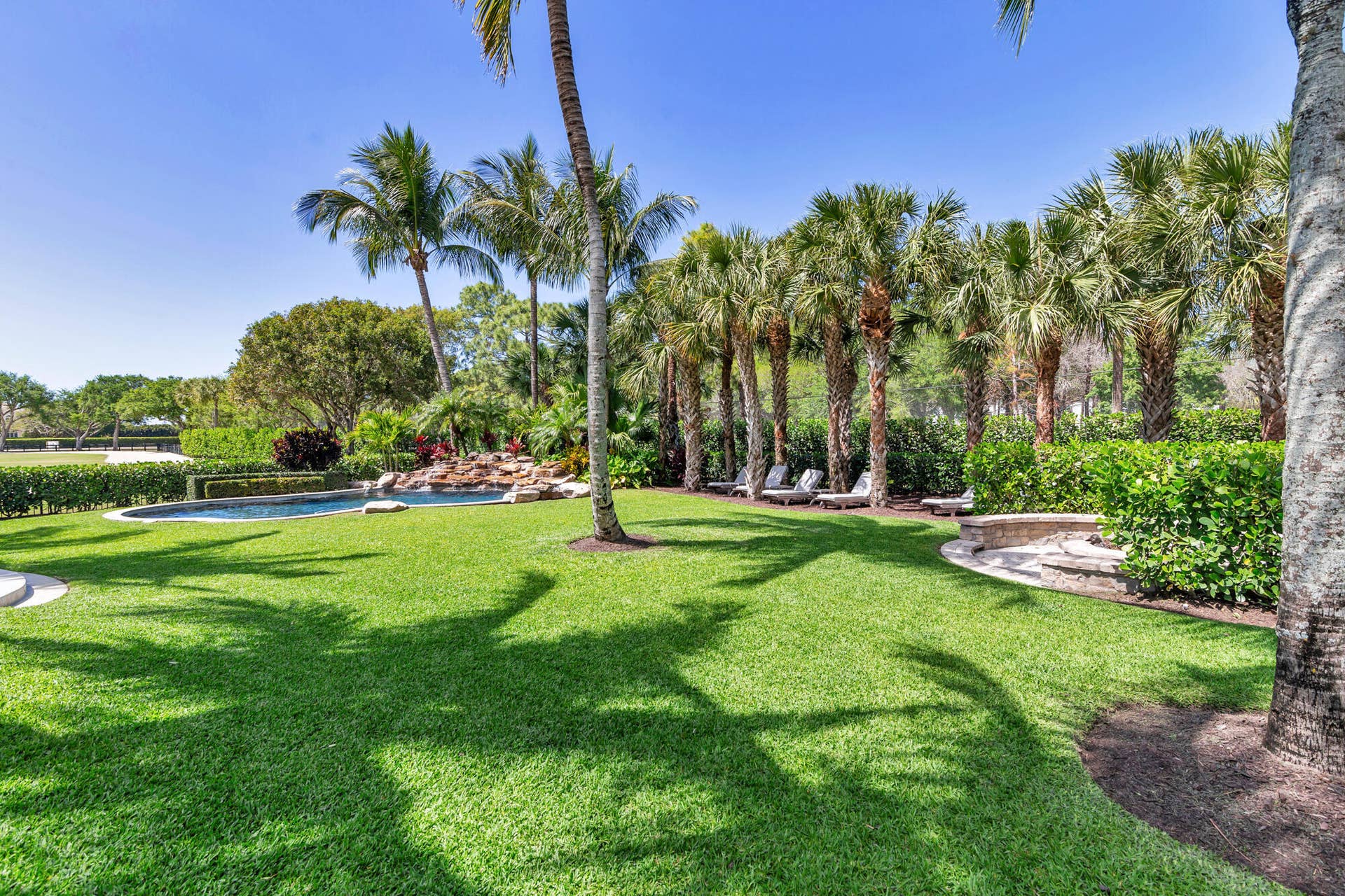 Yard View