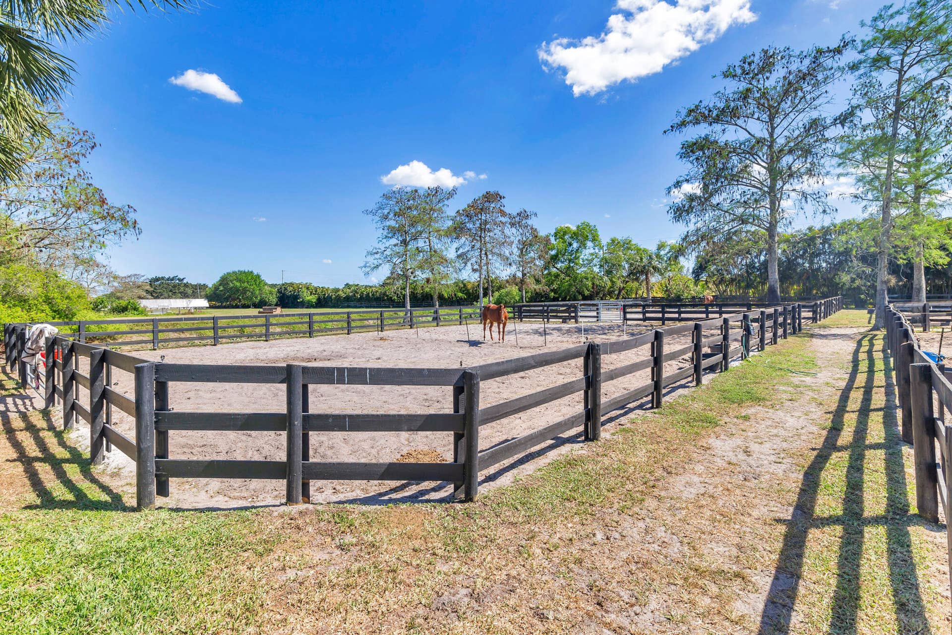 Paddocks