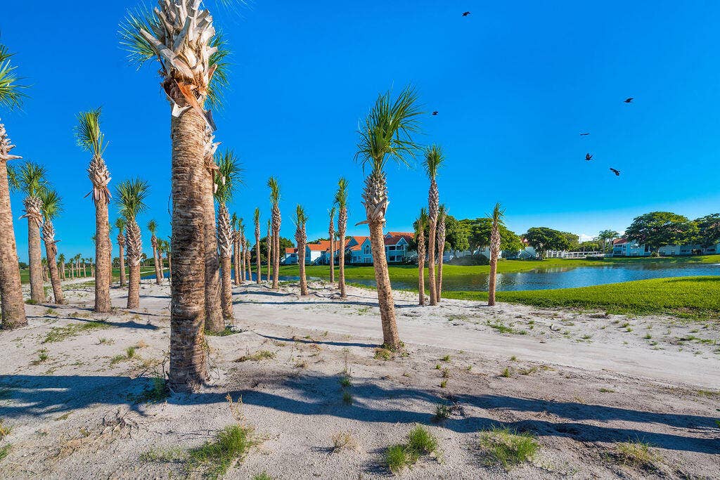 1233 Avondale Lane, West Palm Beach, FL 33409 Sandy grounds featuring numerous palm trees, a body of water, and manicured turf