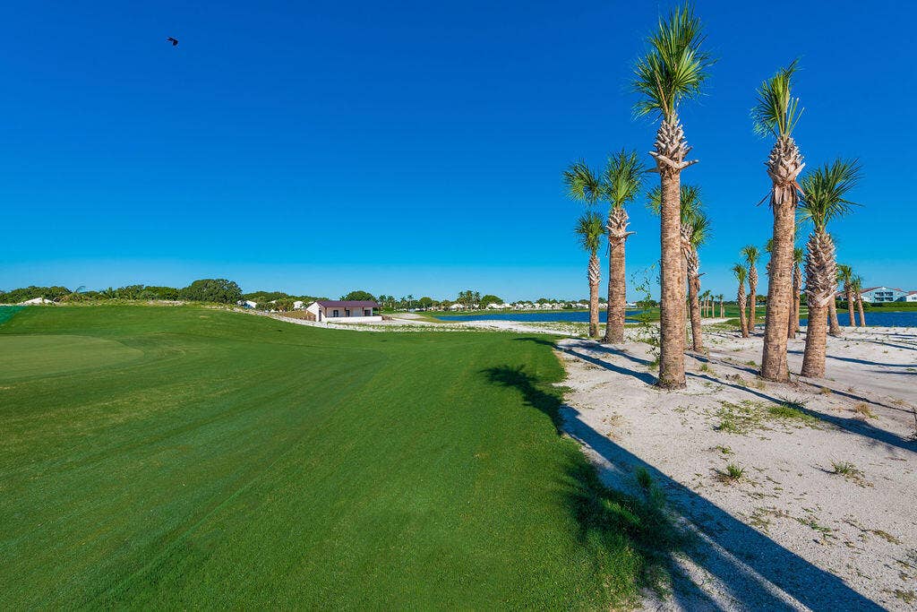 1233 Avondale Lane, West Palm Beach, FL 33409 Expansive manicured lawn featuring native palm trees and sand terrain