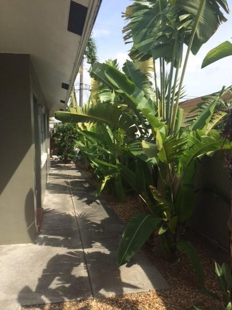 713 SE 18th Street, #1-5, Fort Lauderdale, FL 33316 Walkway