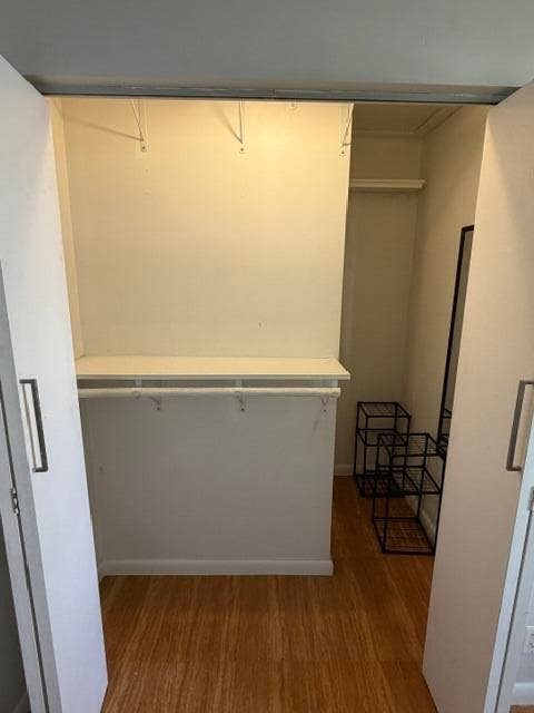 713 SE 18th Street, #1-5, Fort Lauderdale, FL 33316 Walk in Closet
