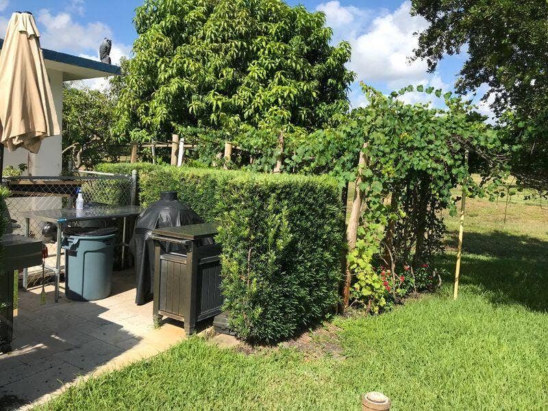 5401 NW 2nd Avenue, #Apt 329, Boca Raton, FL 33487 Garden Grapes