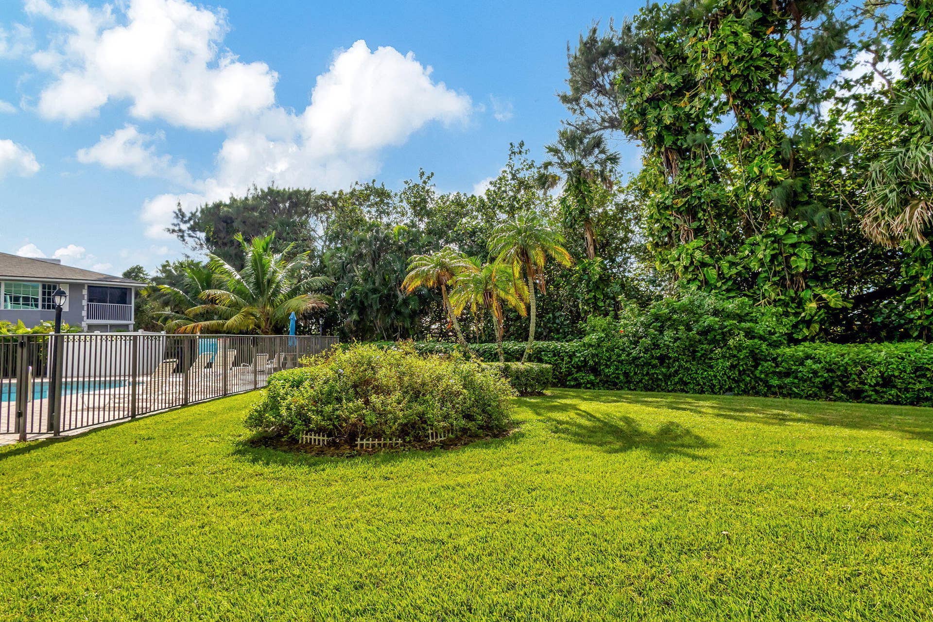 40-web-or-mls-5D1A4199