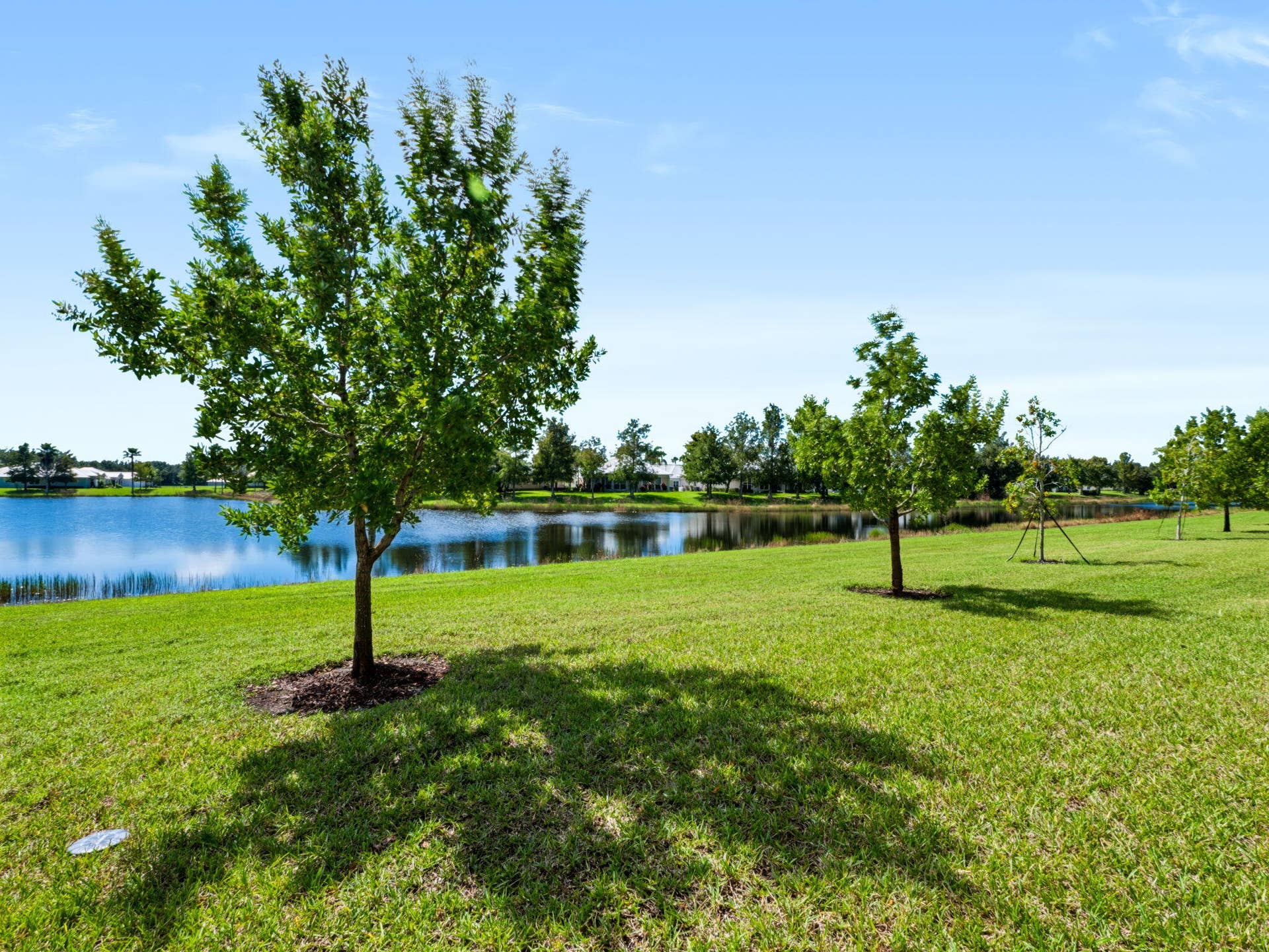 12688 SW Eleanor Drive, Port St Lucie, FL 34987 Expansive lawn featuring mature trees and waterfront frontage