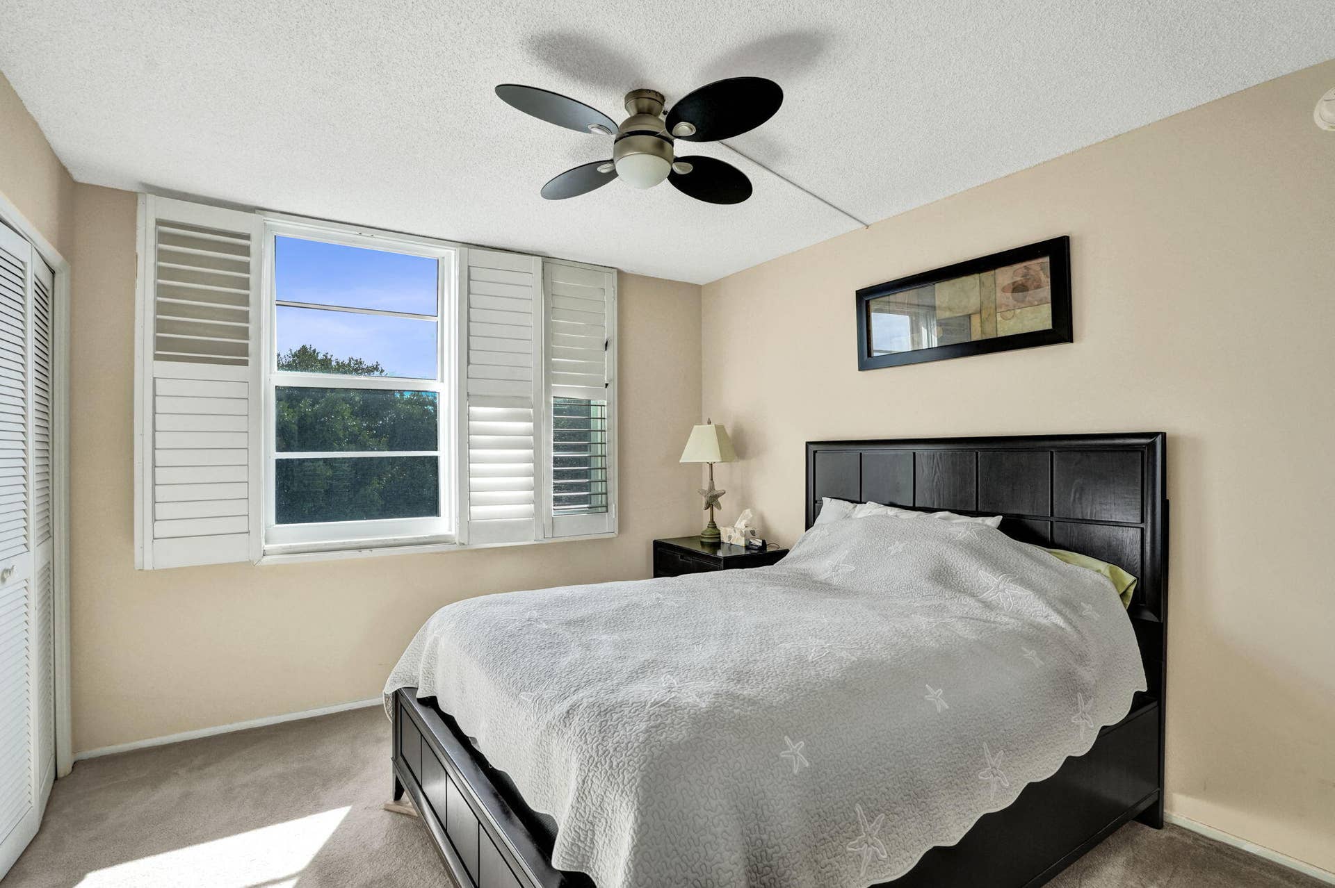 37-web-or-mls-DSC01552