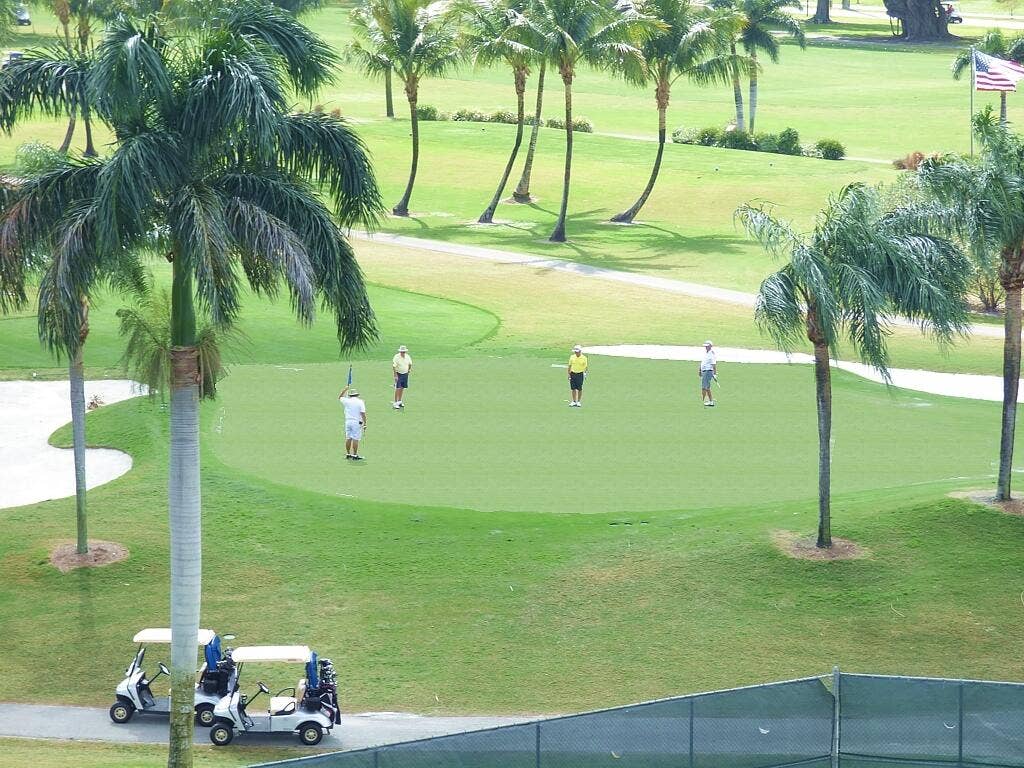 8921 S HOLLYBROOK Boulevard, #209, Pembroke Pines, FL 33025 golfers-2