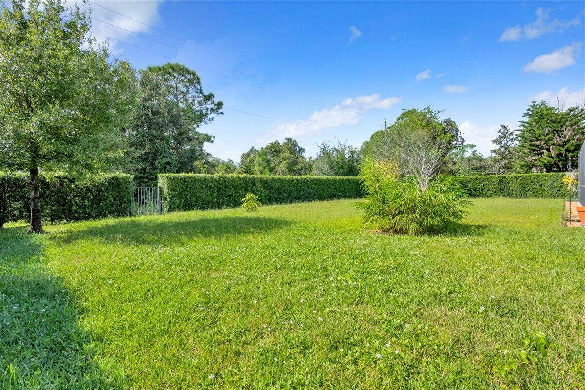 Private Backyard