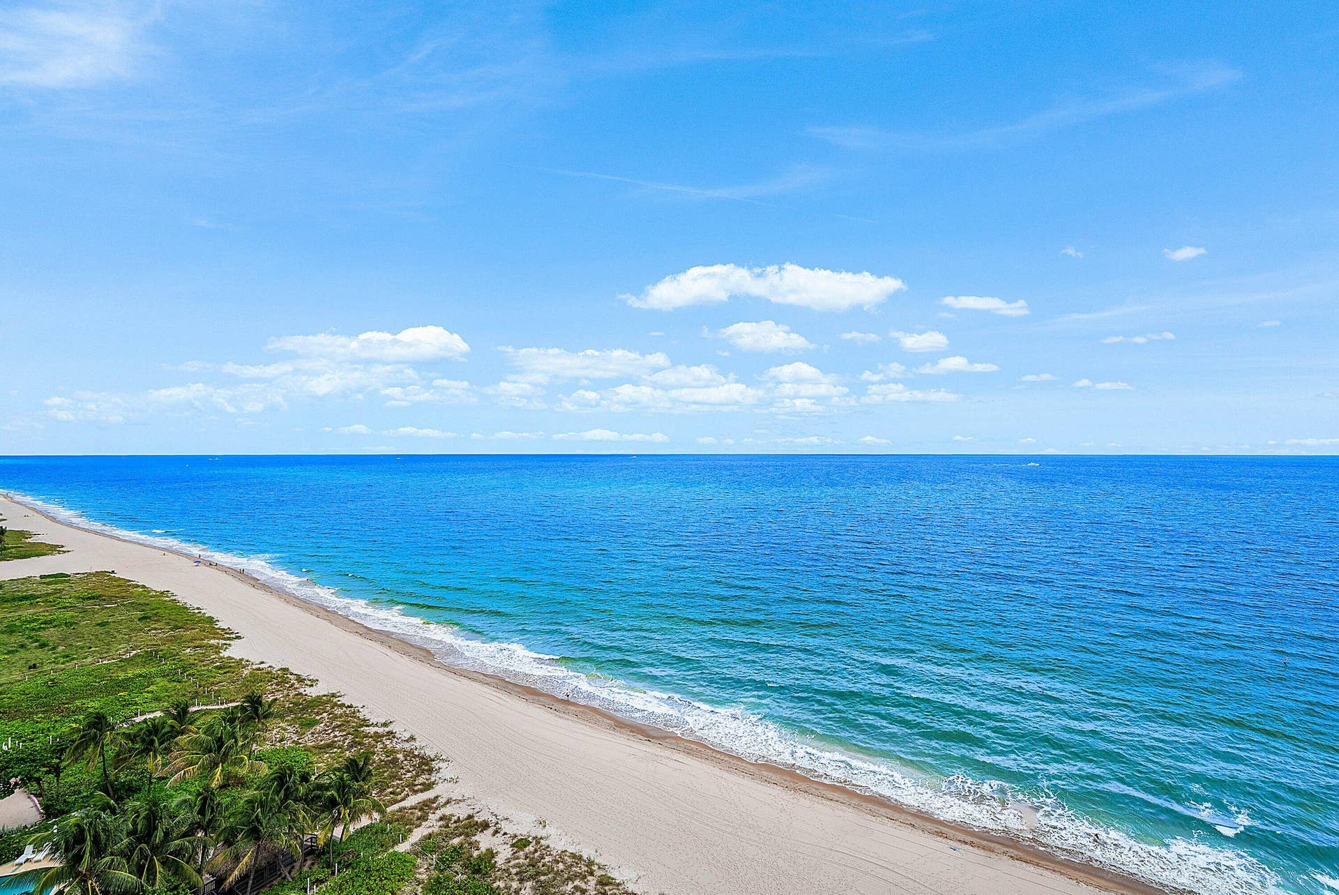 Direct oceanfront location featuring expansive sandy shoreline, coastal dunes, and mature palm vegetation
