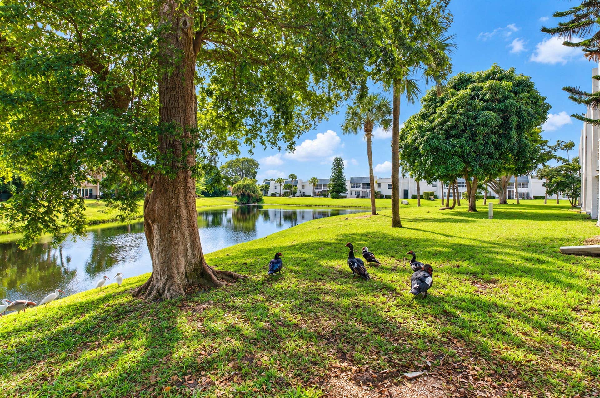 2700 CASITA Way W, #102, Delray Beach, FL 33445 26-web-or-mls-DSC_8274