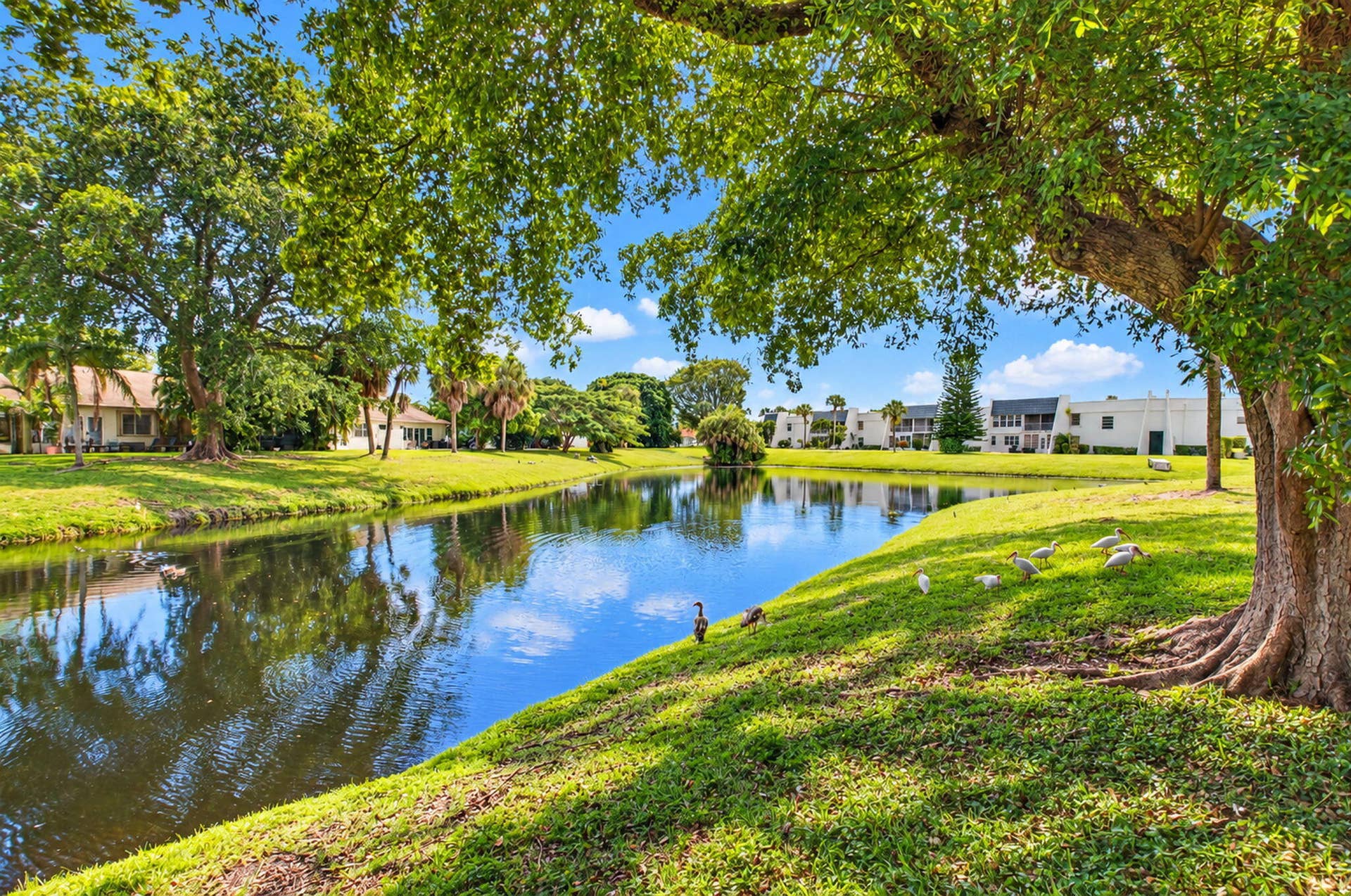 2700 CASITA Way W, #102, Delray Beach, FL 33445 29-web-or-mls-DSC_8290
