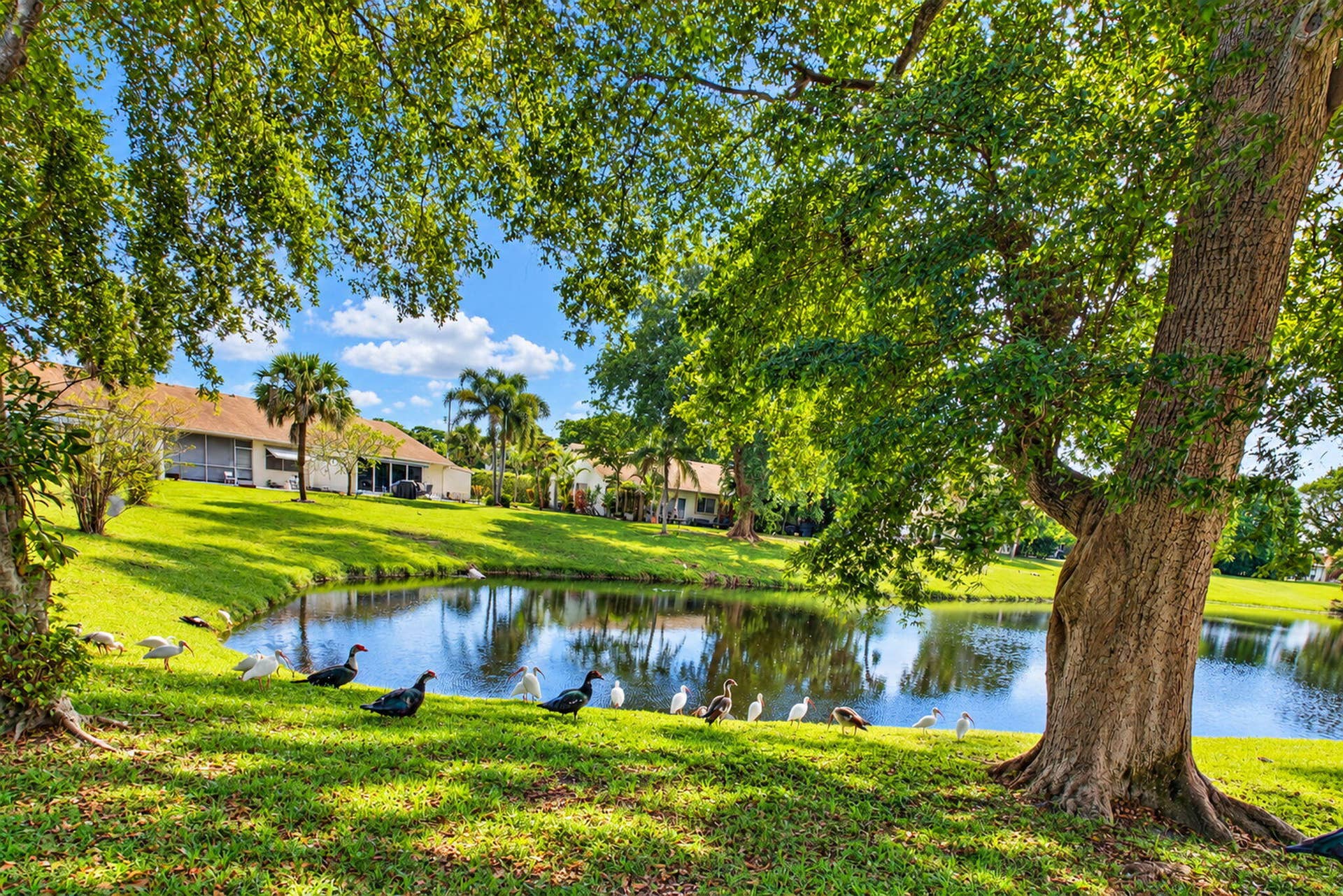 2700 CASITA Way W, #102, Delray Beach, FL 33445 25-web-or-mls-DSC_8269