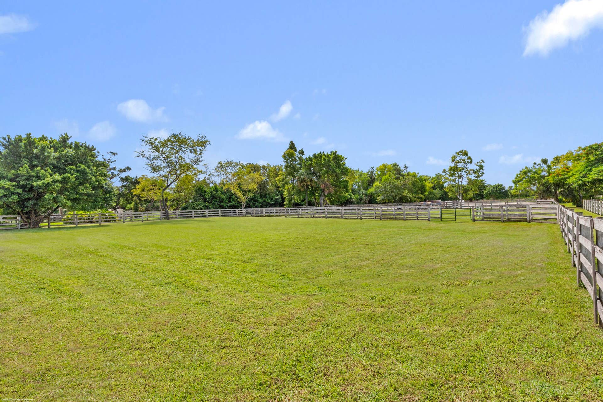 5110 S Shore Boulevard, Wellington, FL 33449 Grass Field