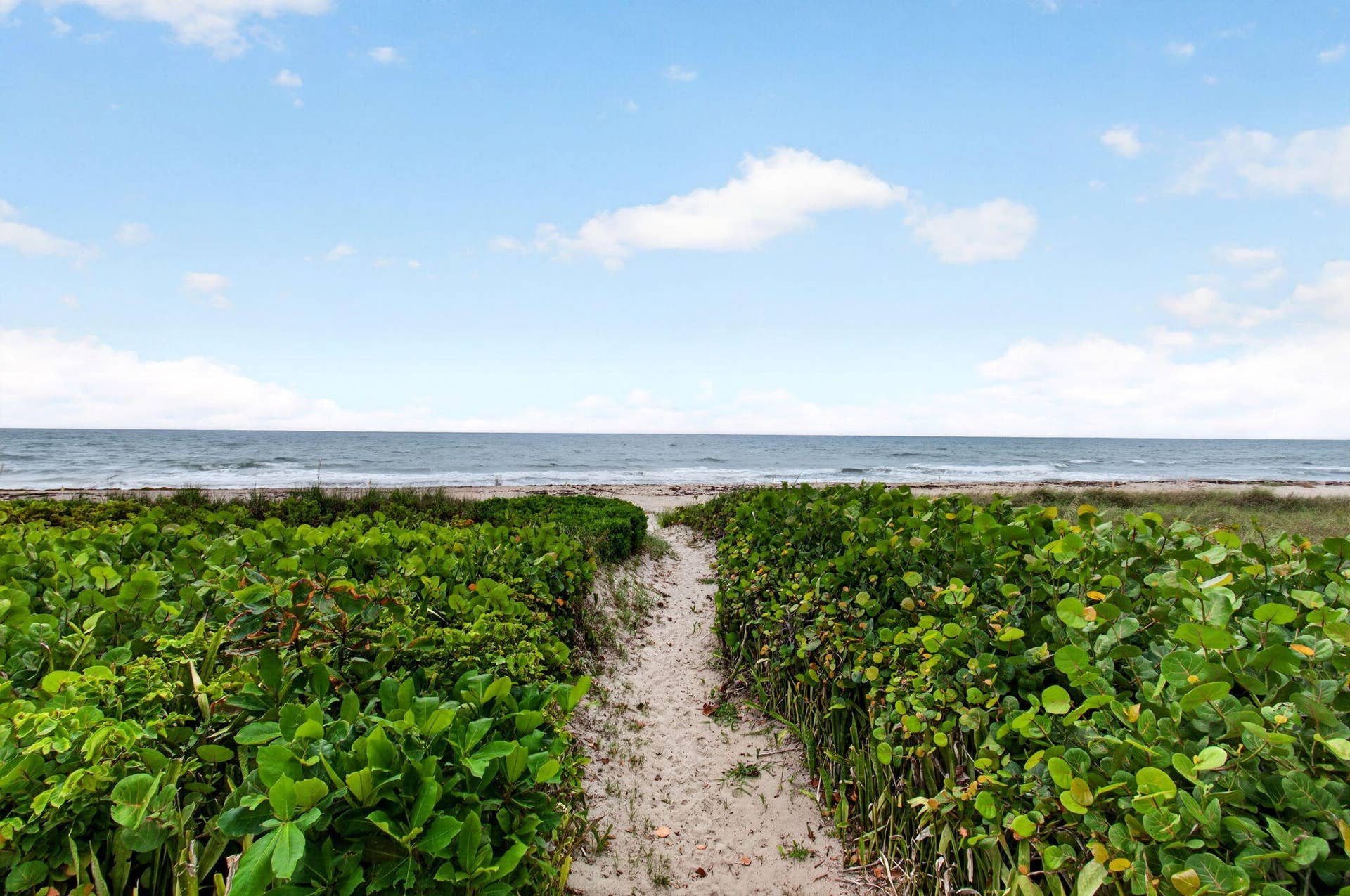 2701 S Ocean Boulevard, #21, Highland Beach, FL 33487 85-web-or-mls-DSC_9955